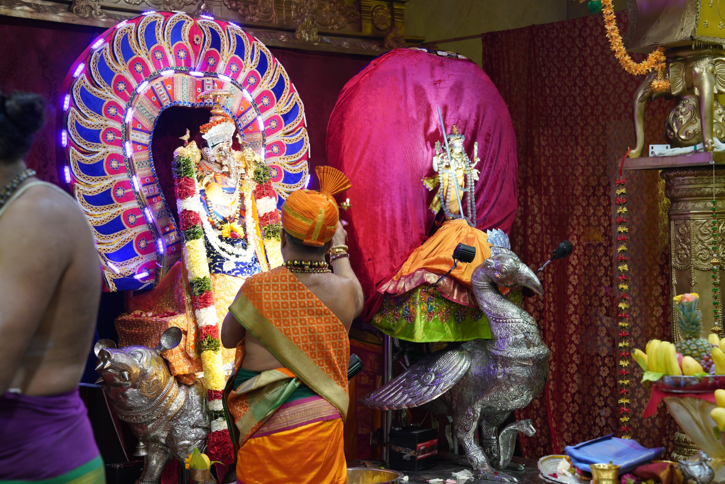 Festival 2026 photo