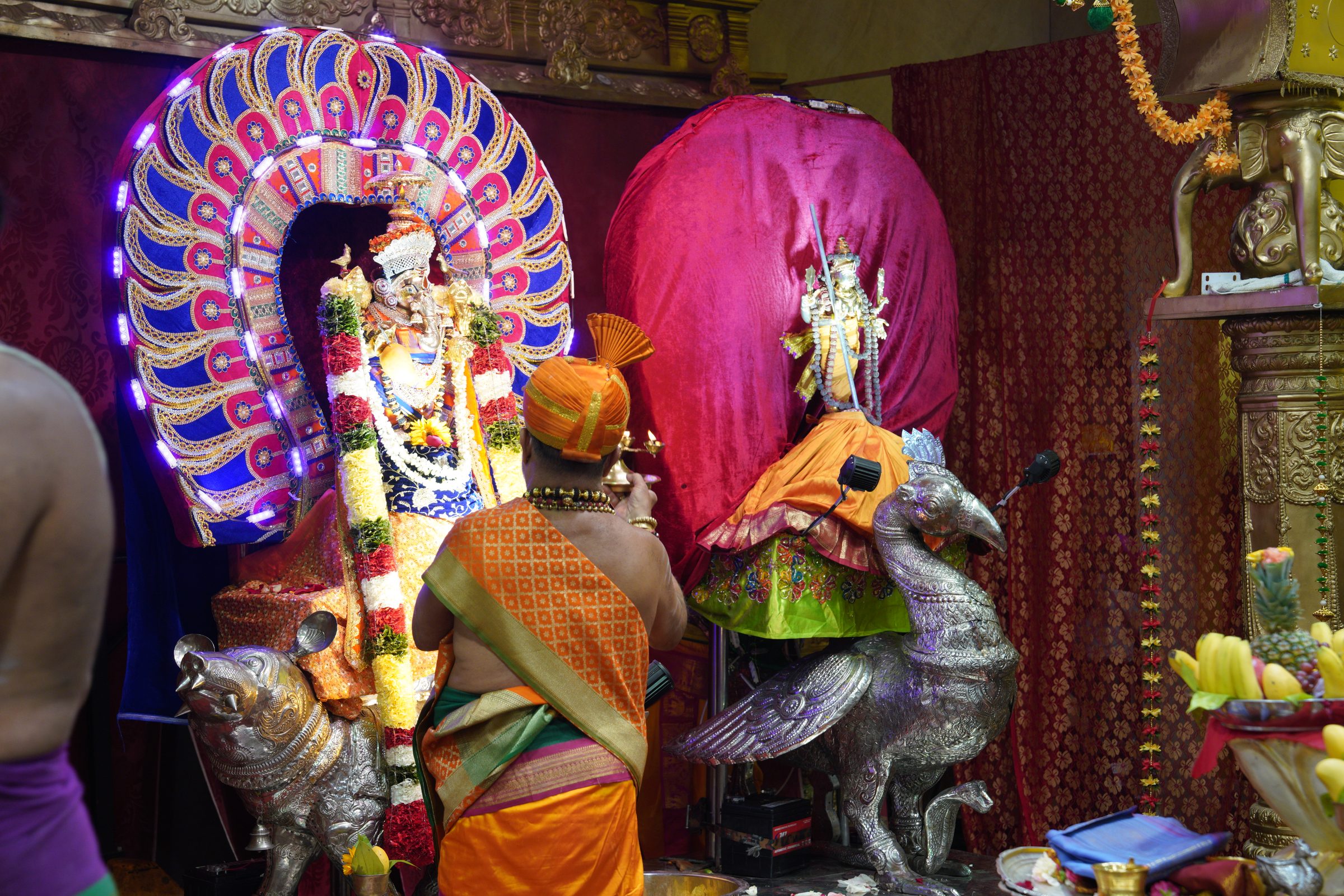 Festival 2026 photo