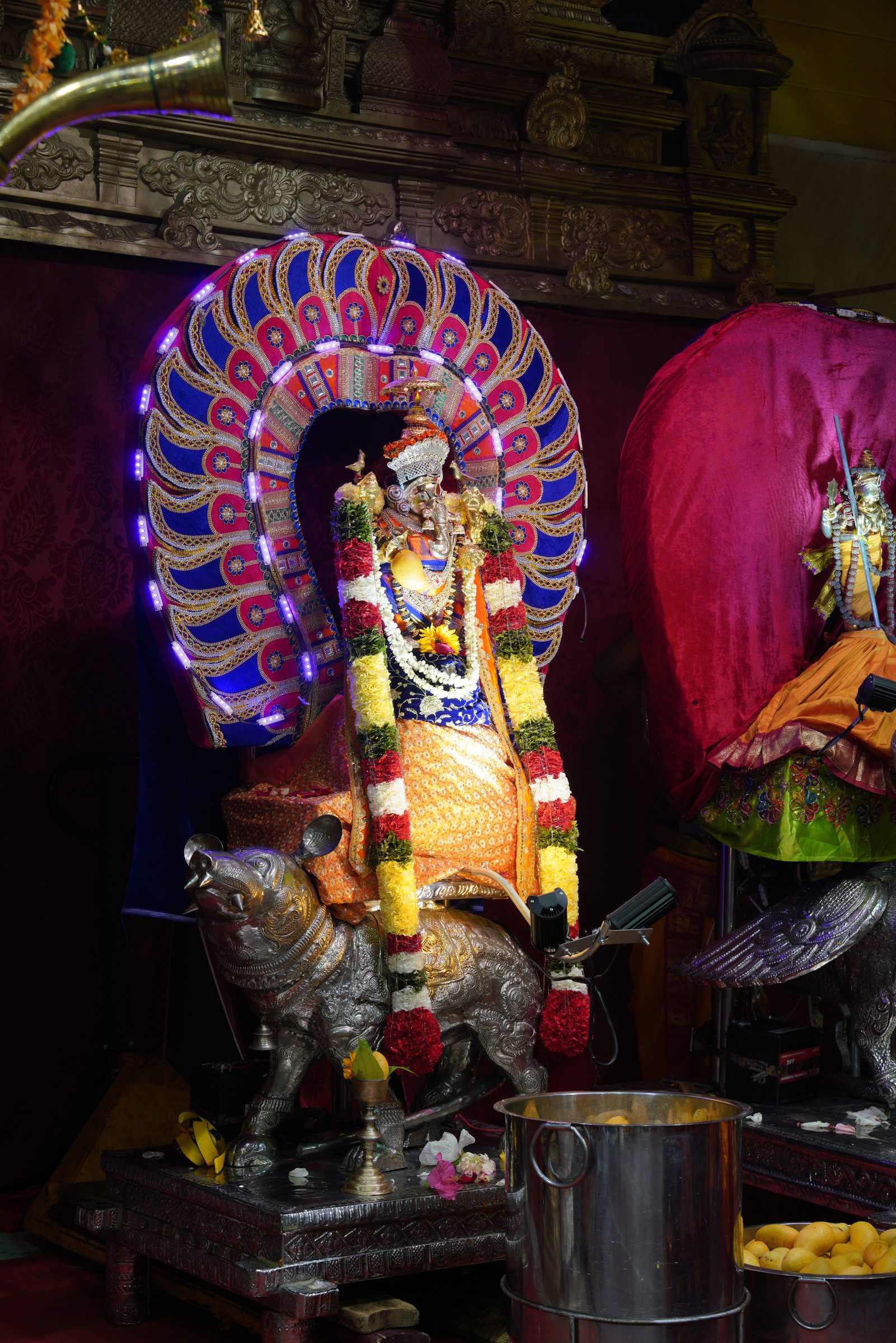 Festival 2026 photo