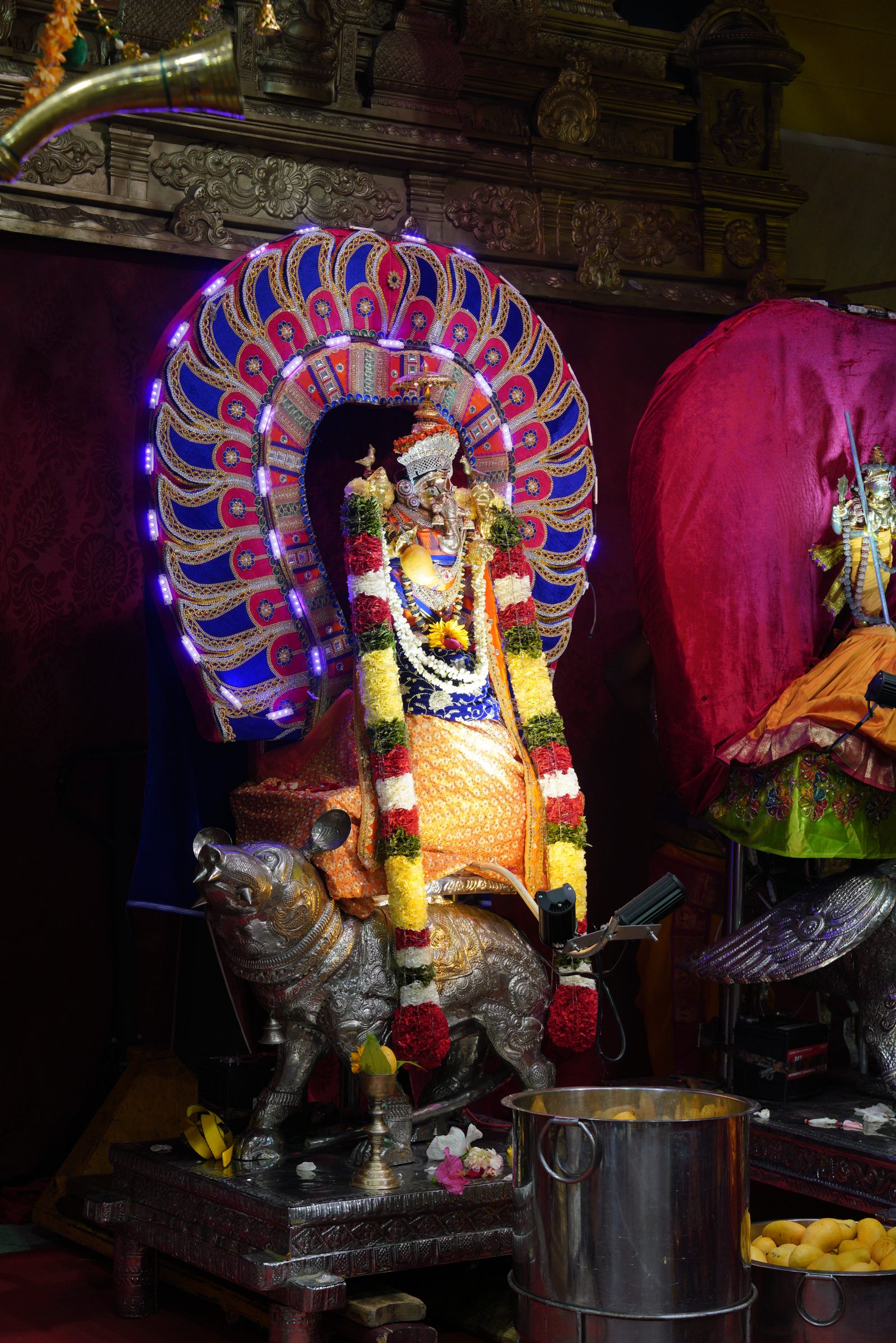 Festival 2026 photo