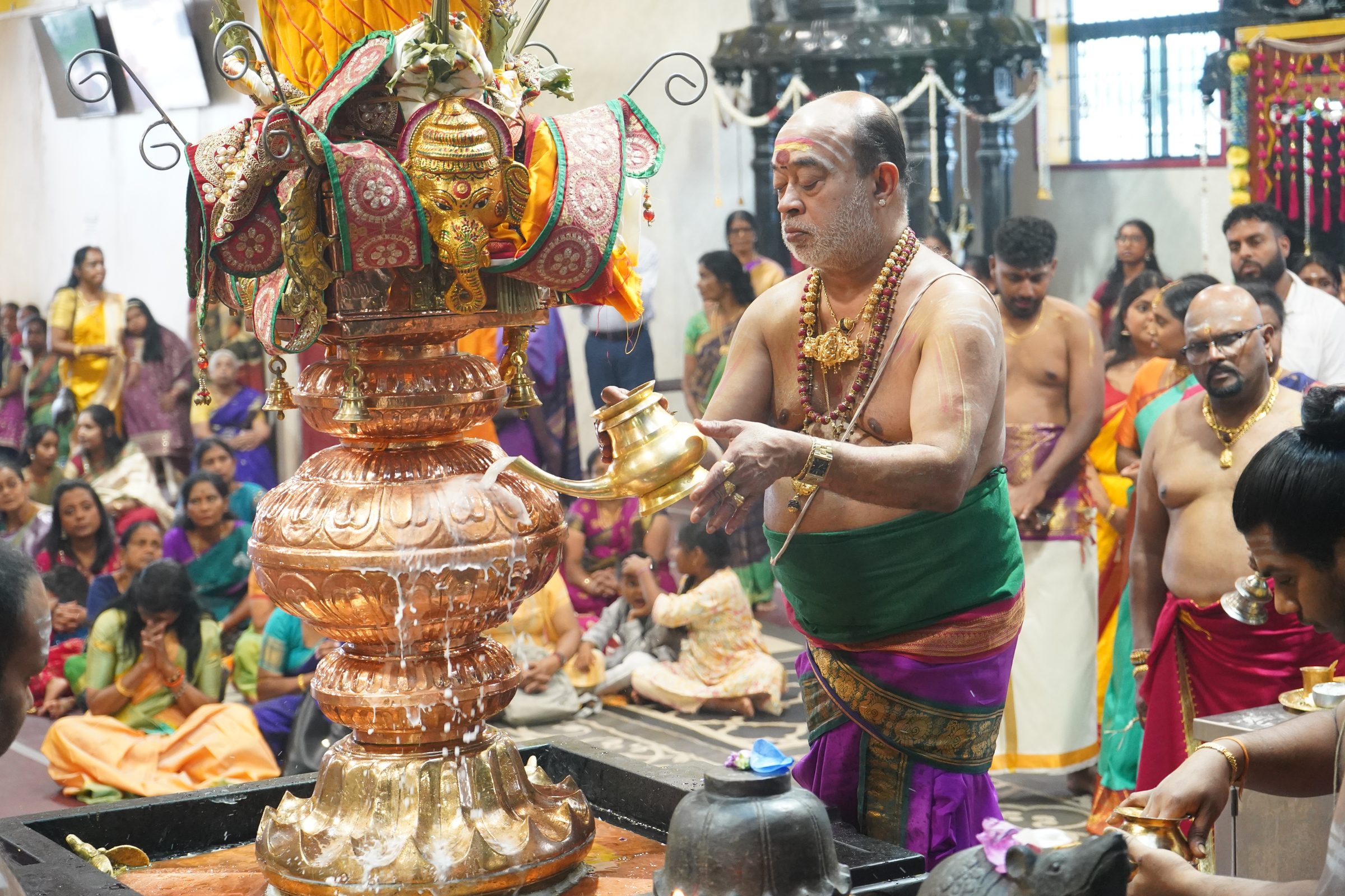 Festival 2026 photo
