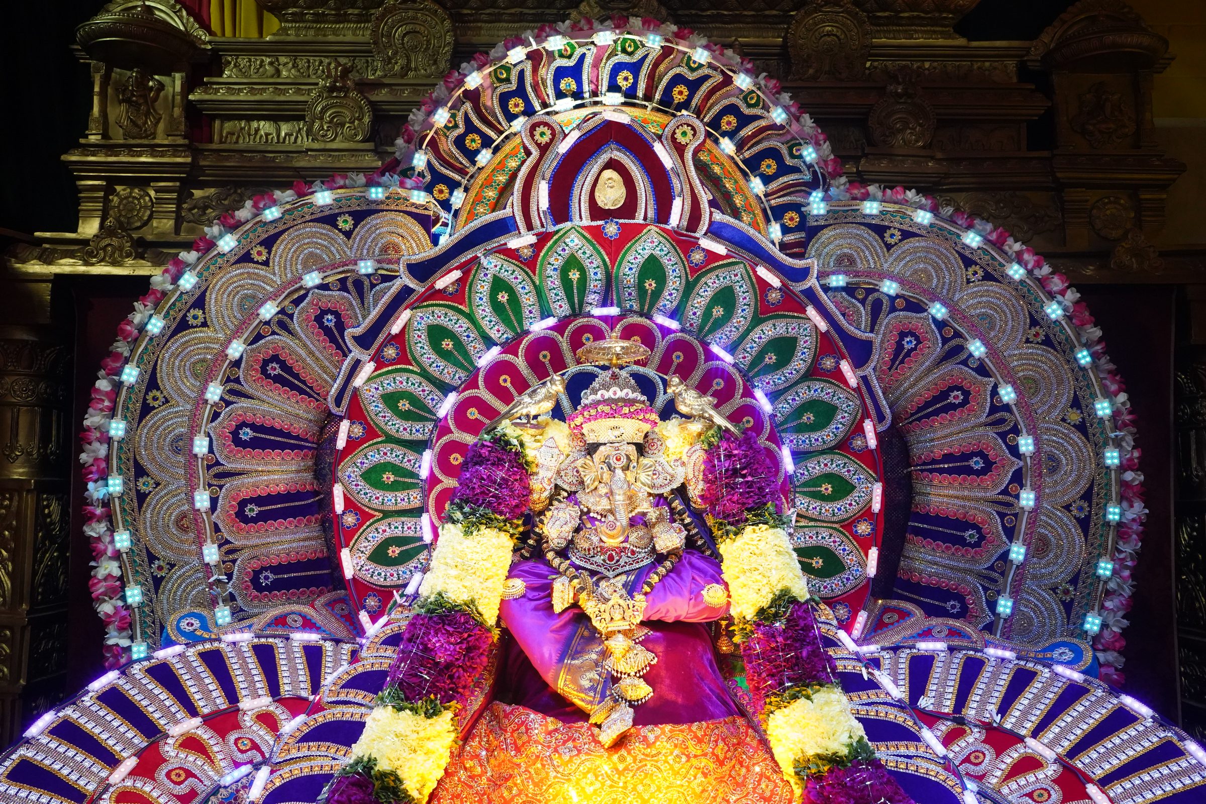 Festival 2026 photo