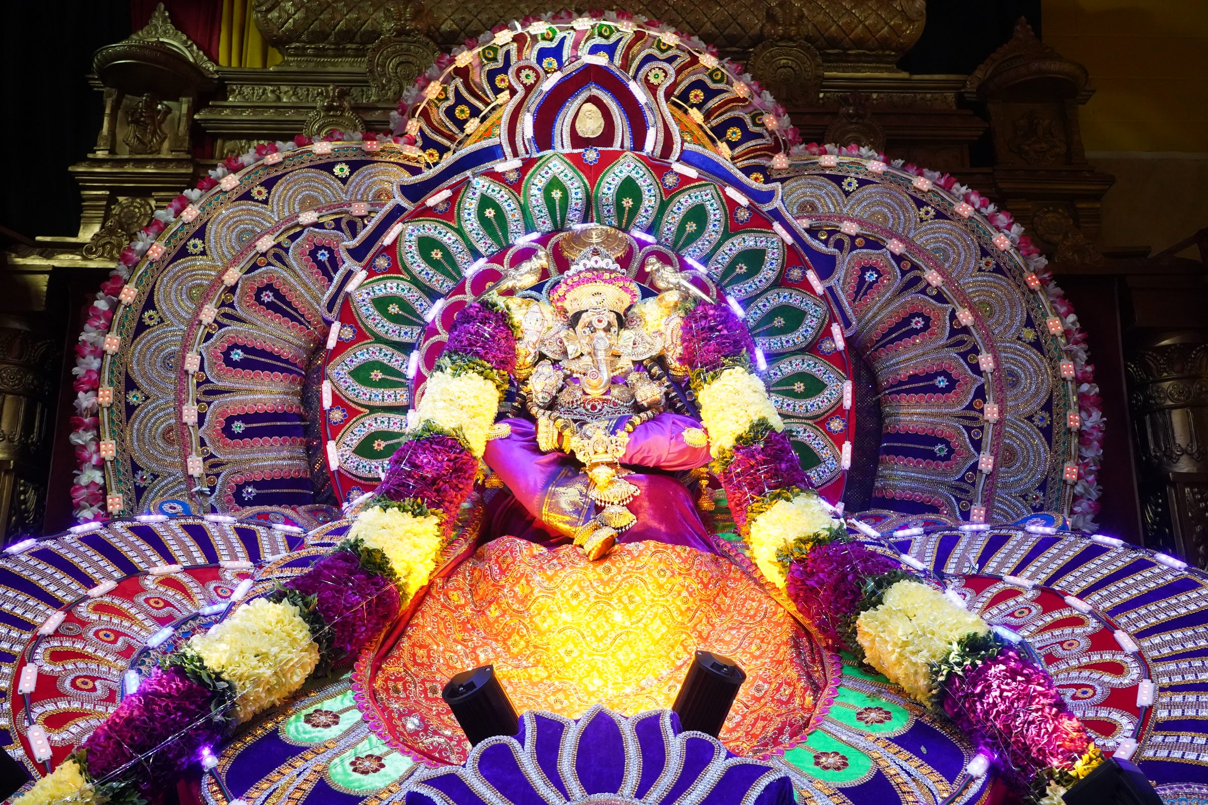 Festival 2026 photo