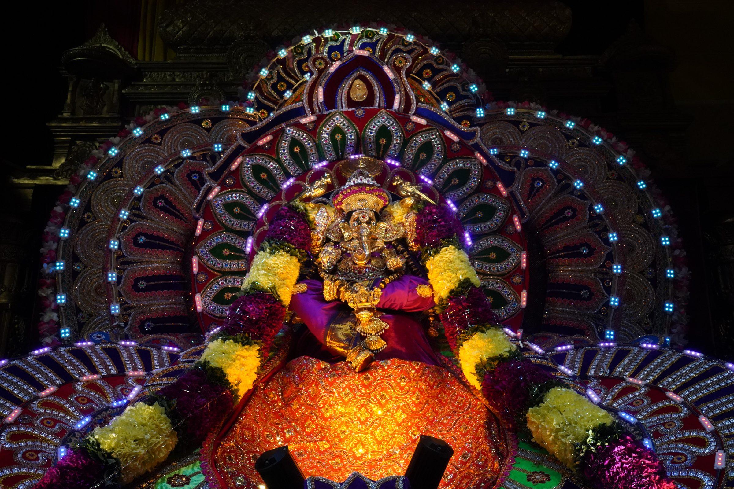 Festival 2026 photo