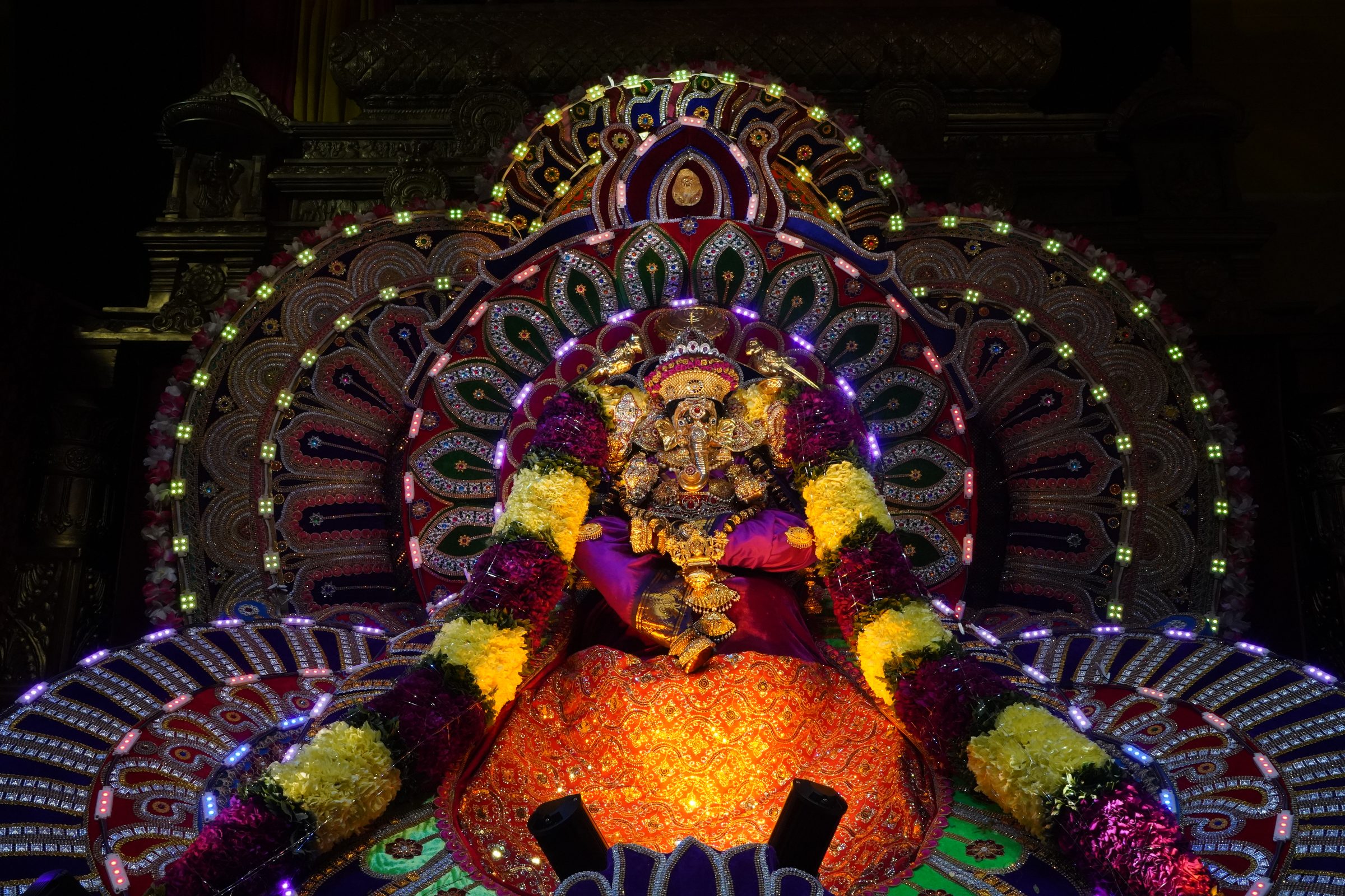 Festival 2026 photo