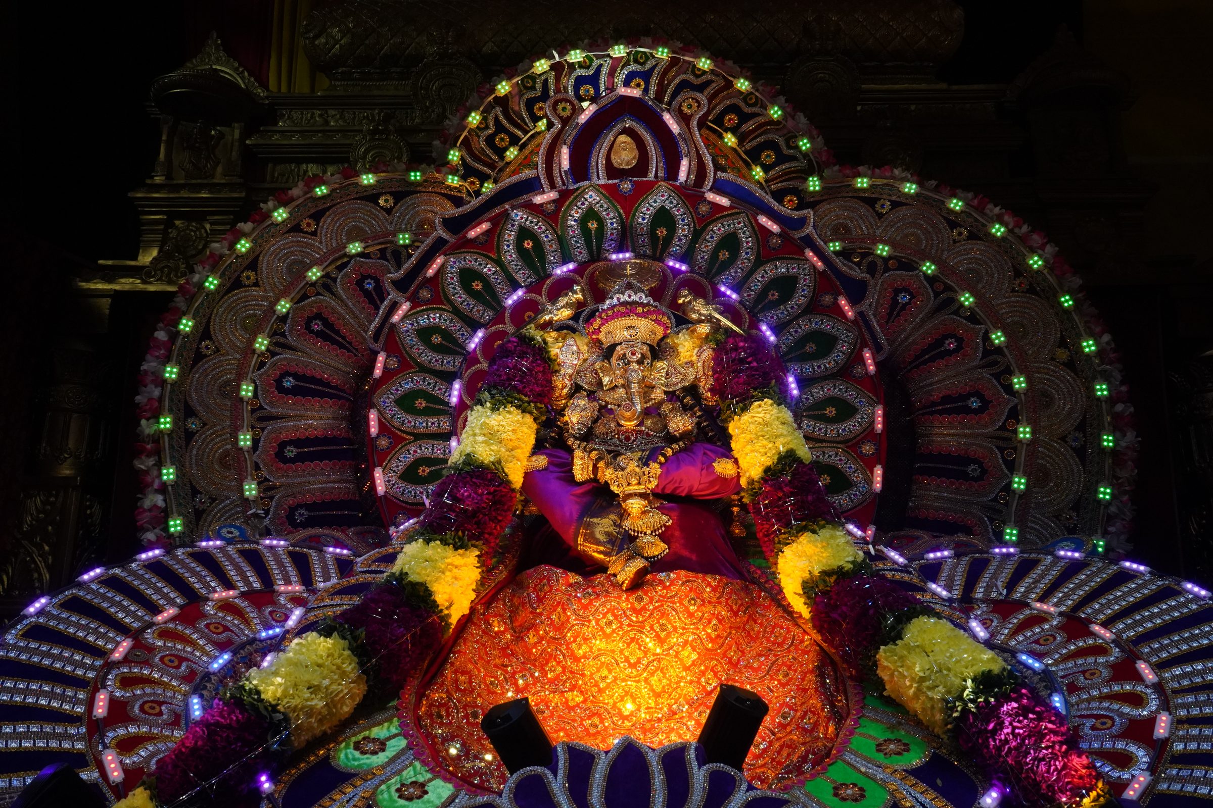 Festival 2026 photo