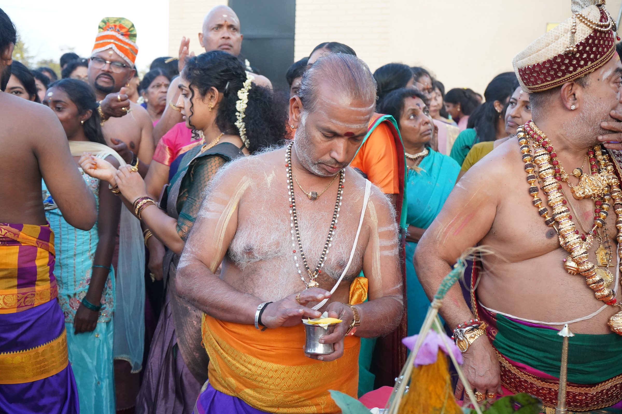 Festival 2026 photo