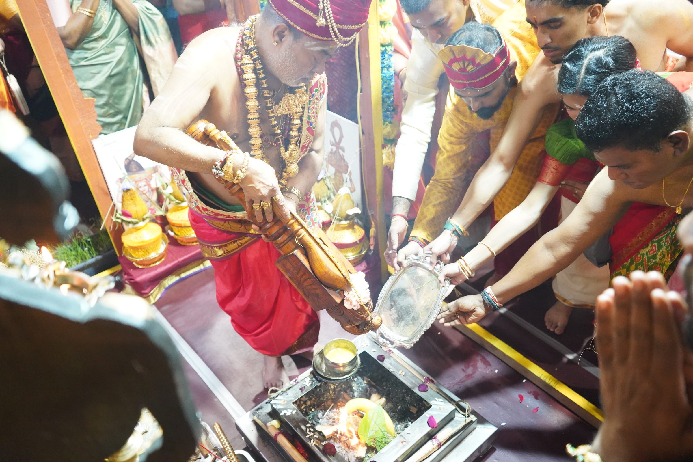 Festival 2026 photo