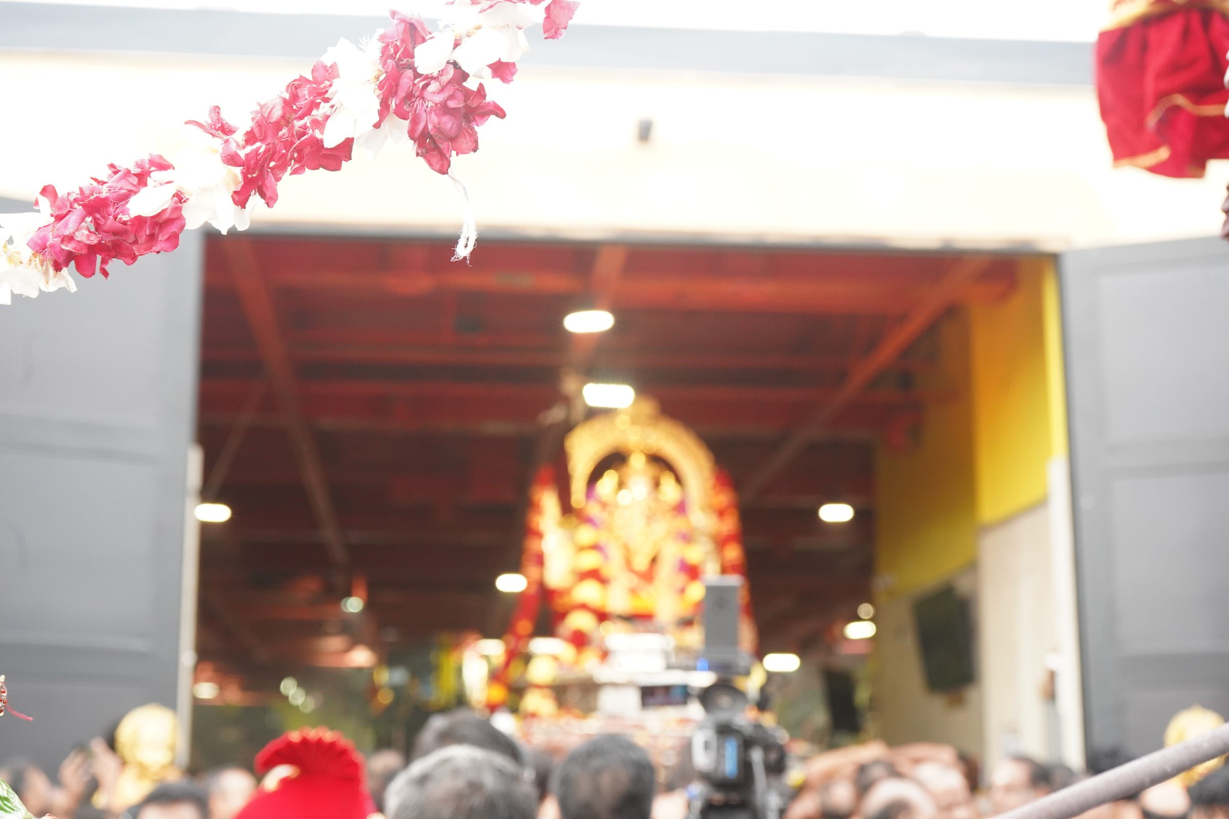Festival 2026 photo