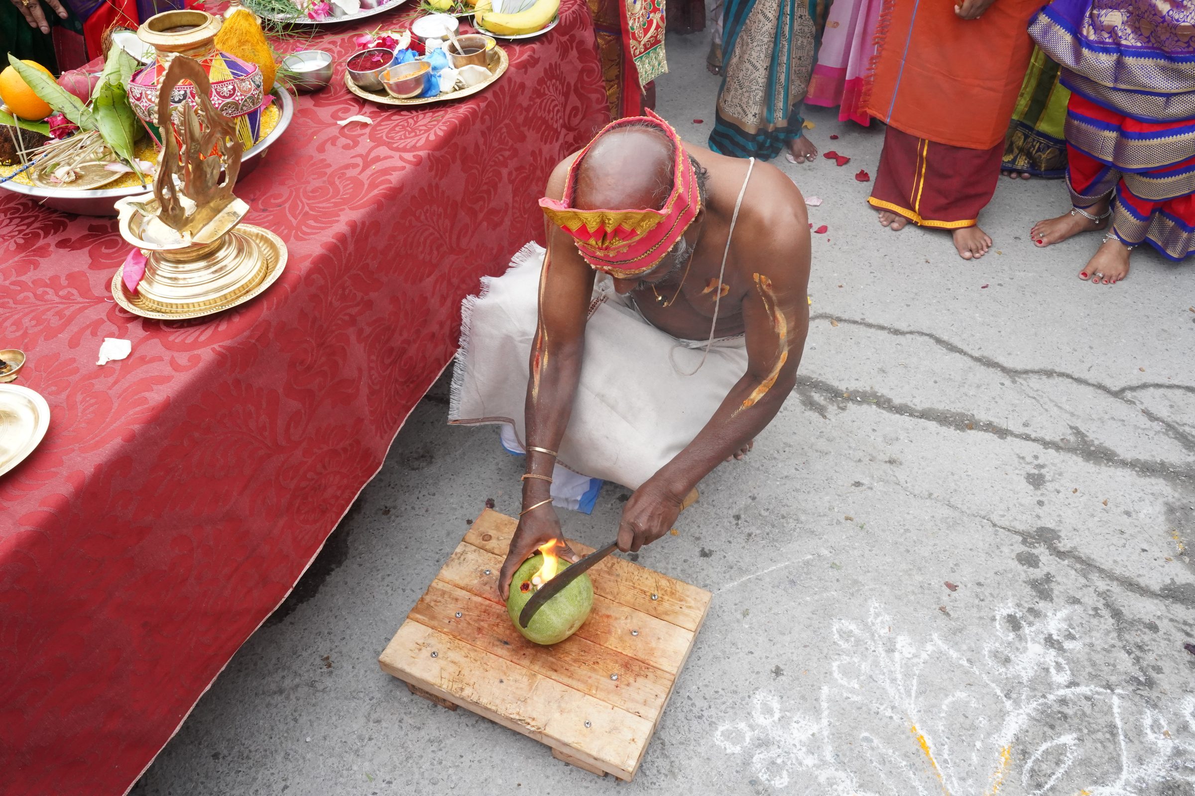 Festival 2026 photo