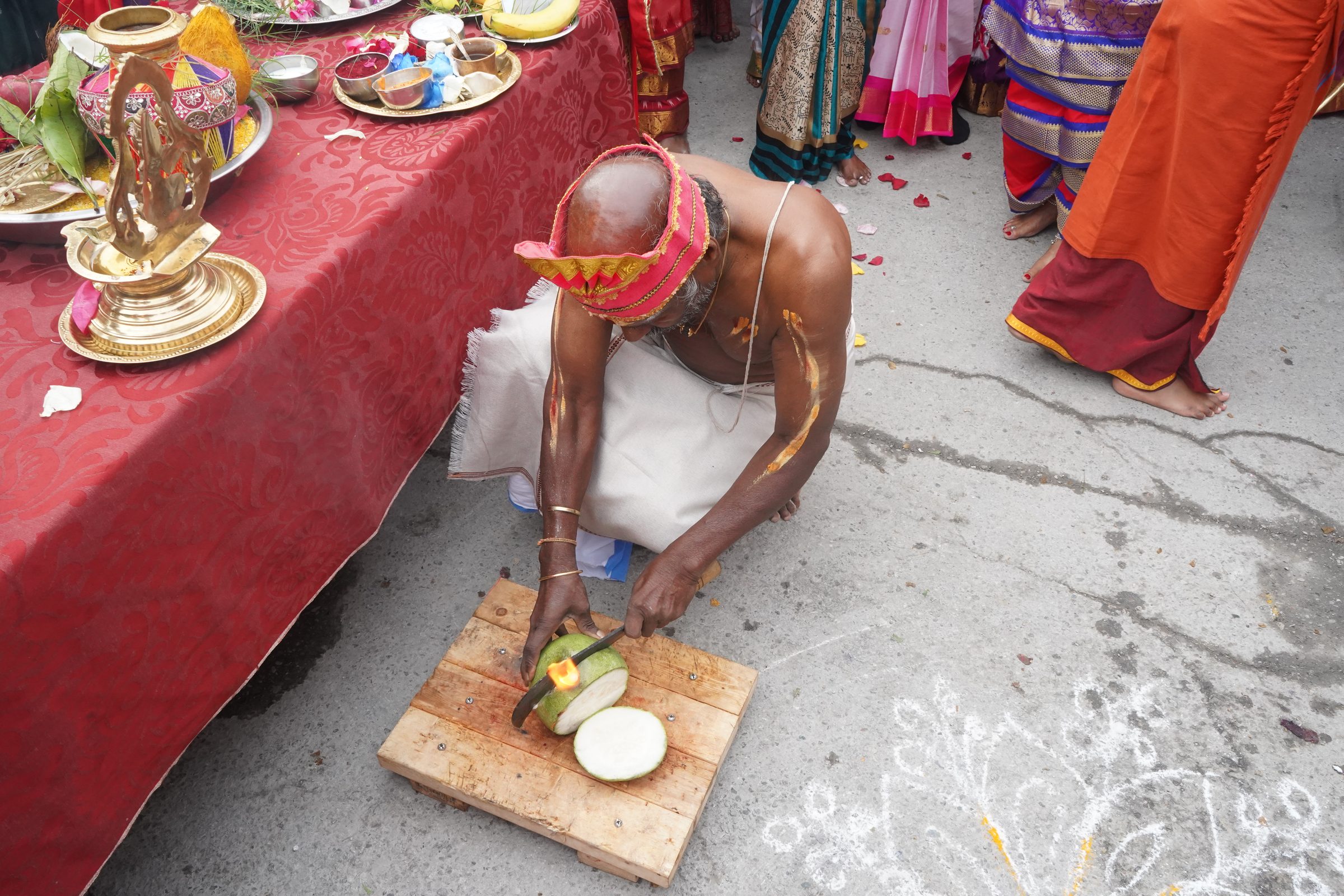 Festival 2026 photo