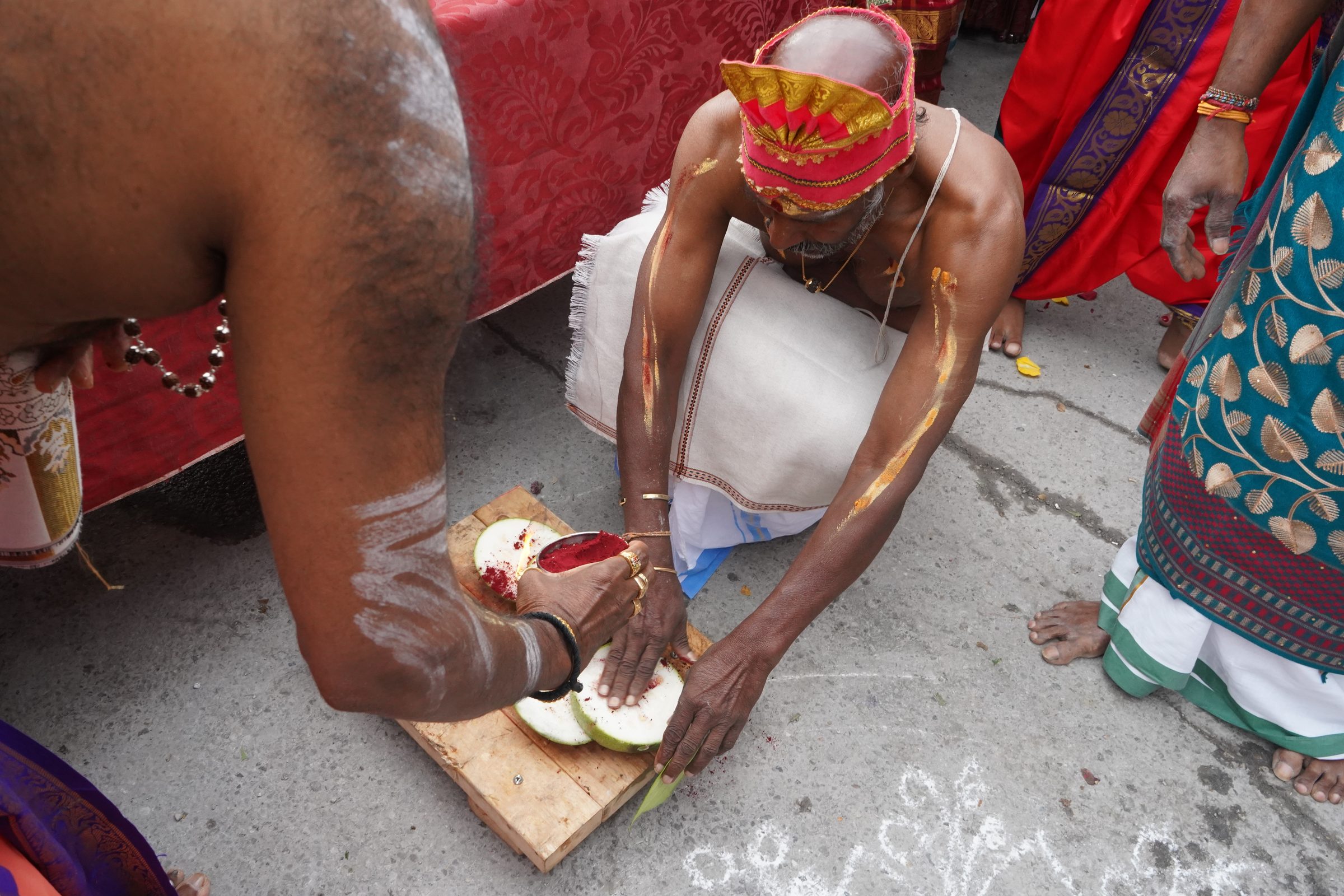 Festival 2026 photo