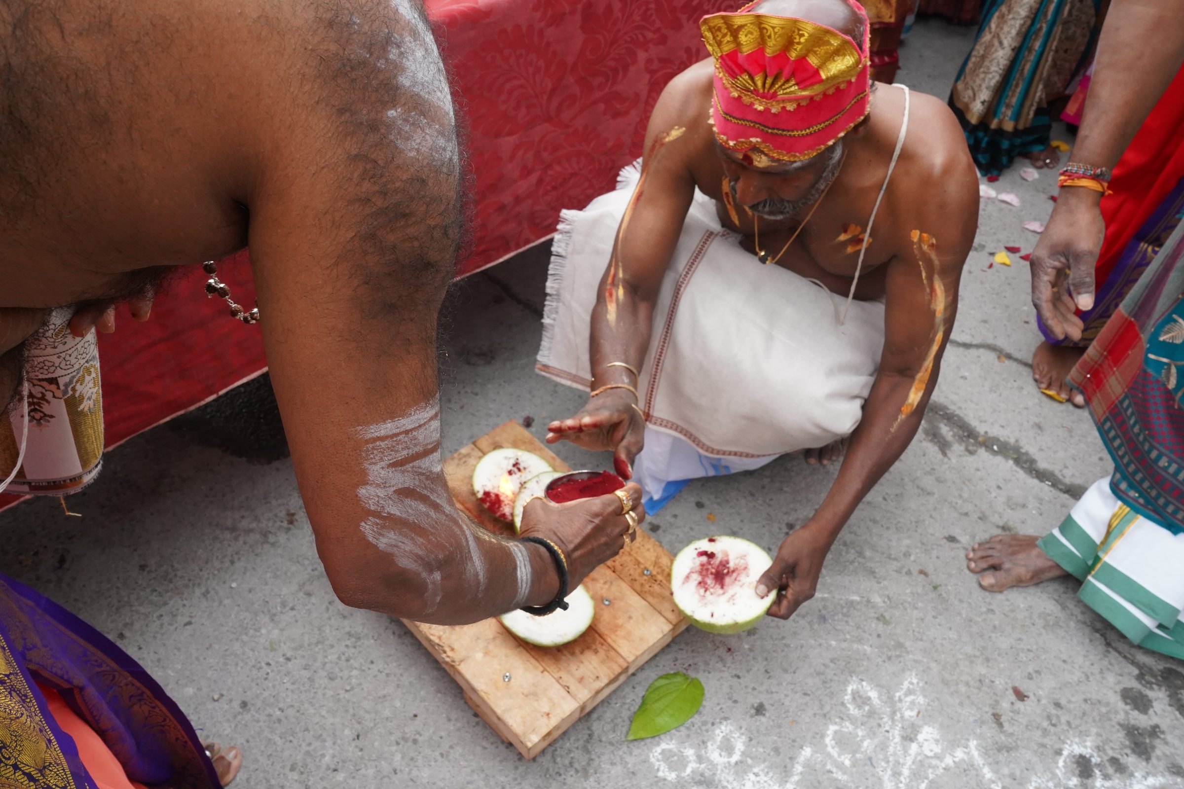 Festival 2026 photo