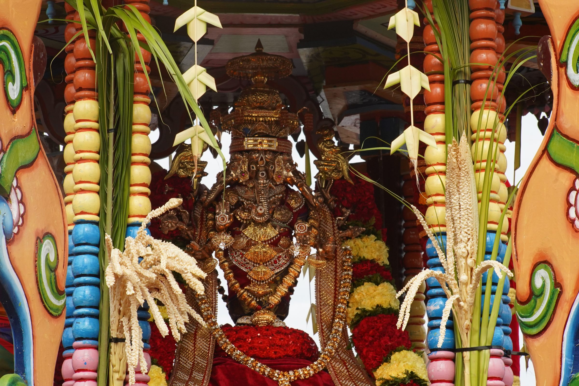 Festival 2026 photo