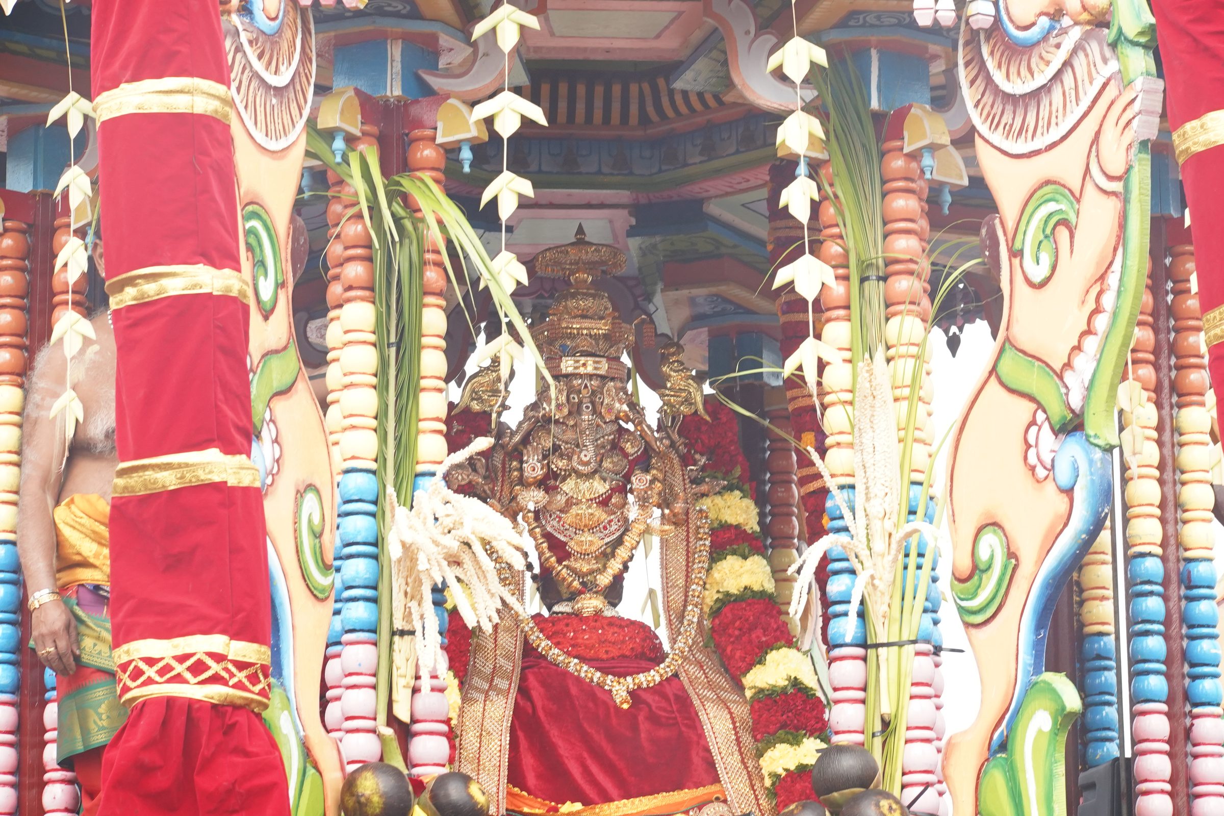 Festival 2026 photo