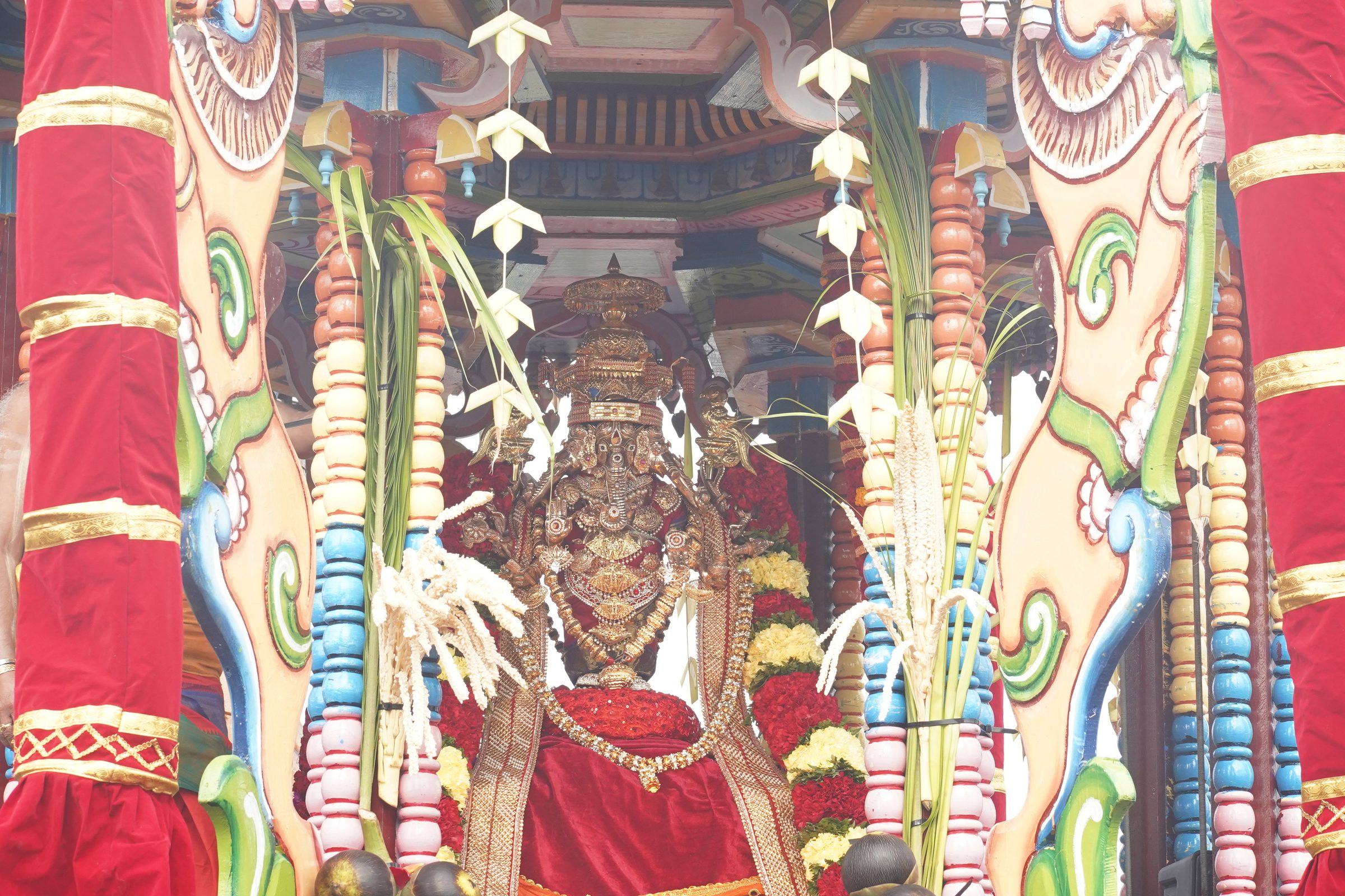 Festival 2026 photo