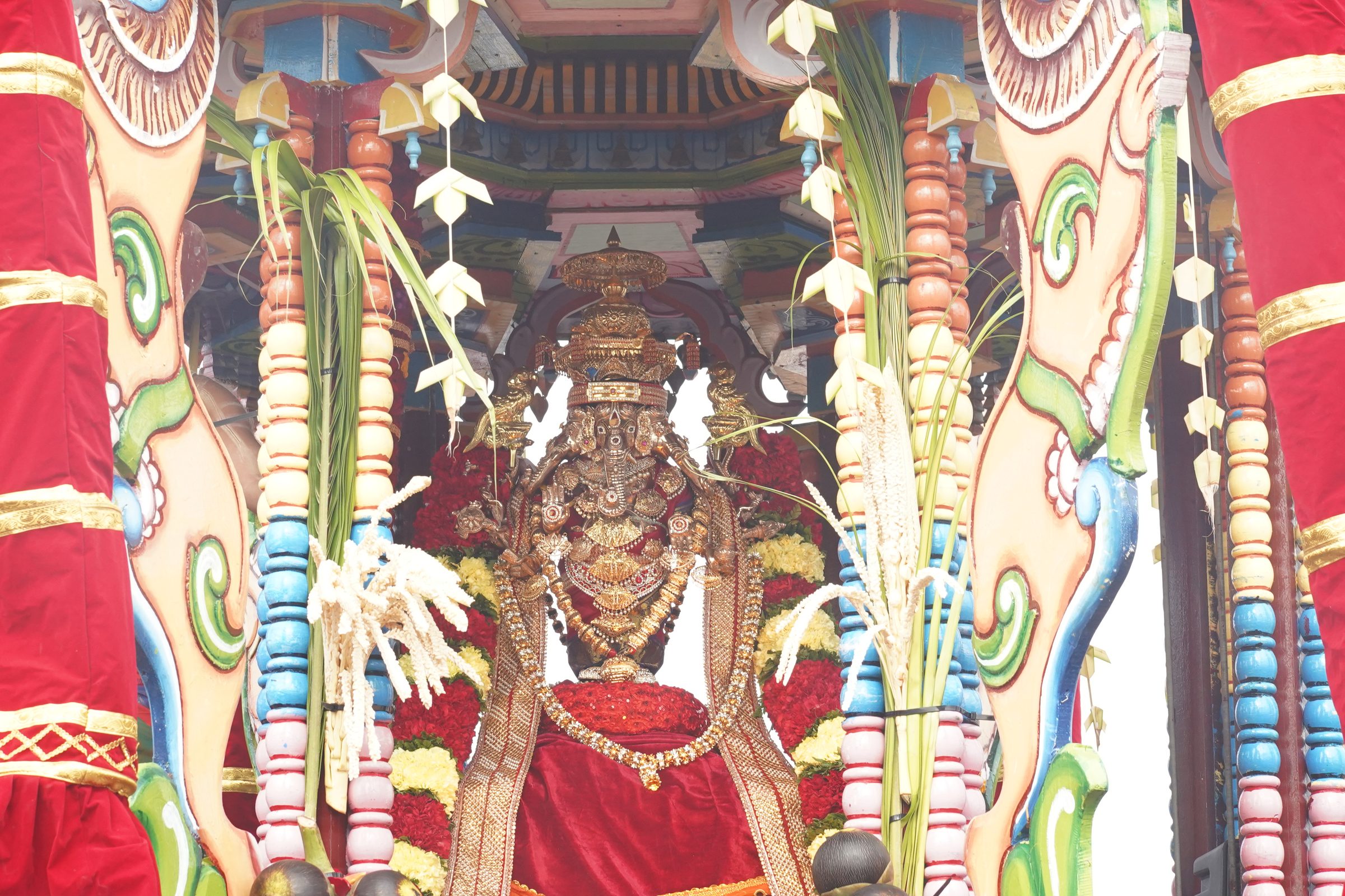 Festival 2026 photo