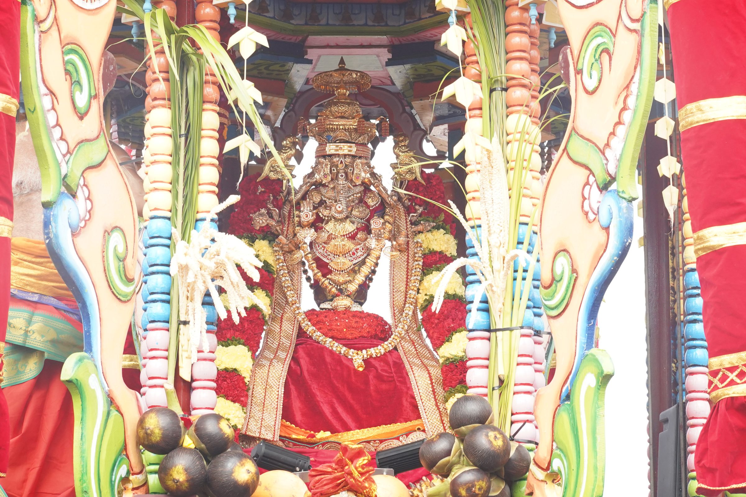 Festival 2026 photo