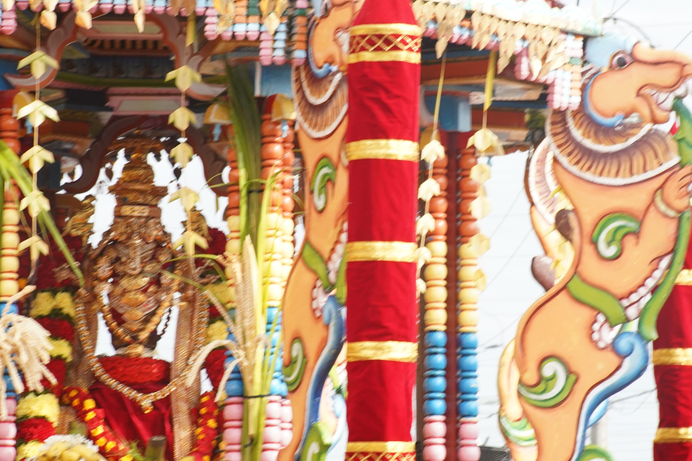Festival 2026 photo