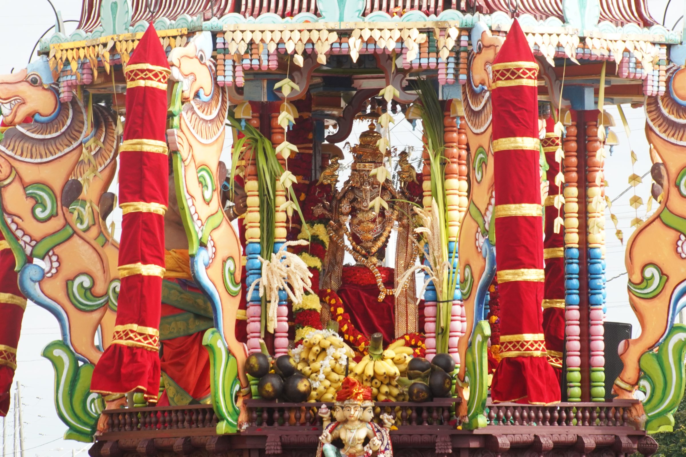 Festival 2026 photo