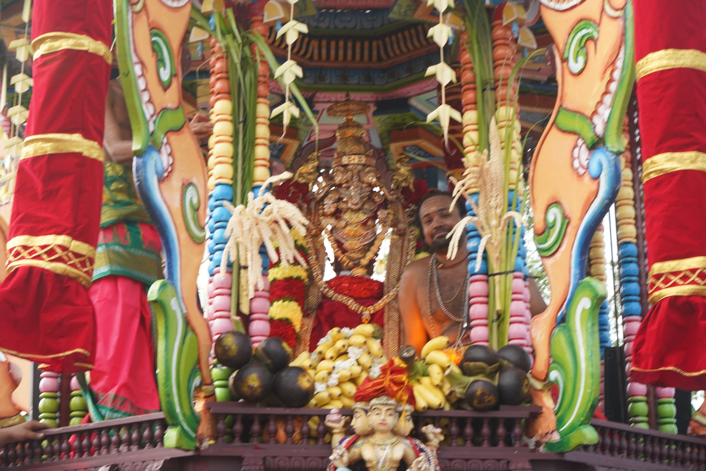 Festival 2026 photo