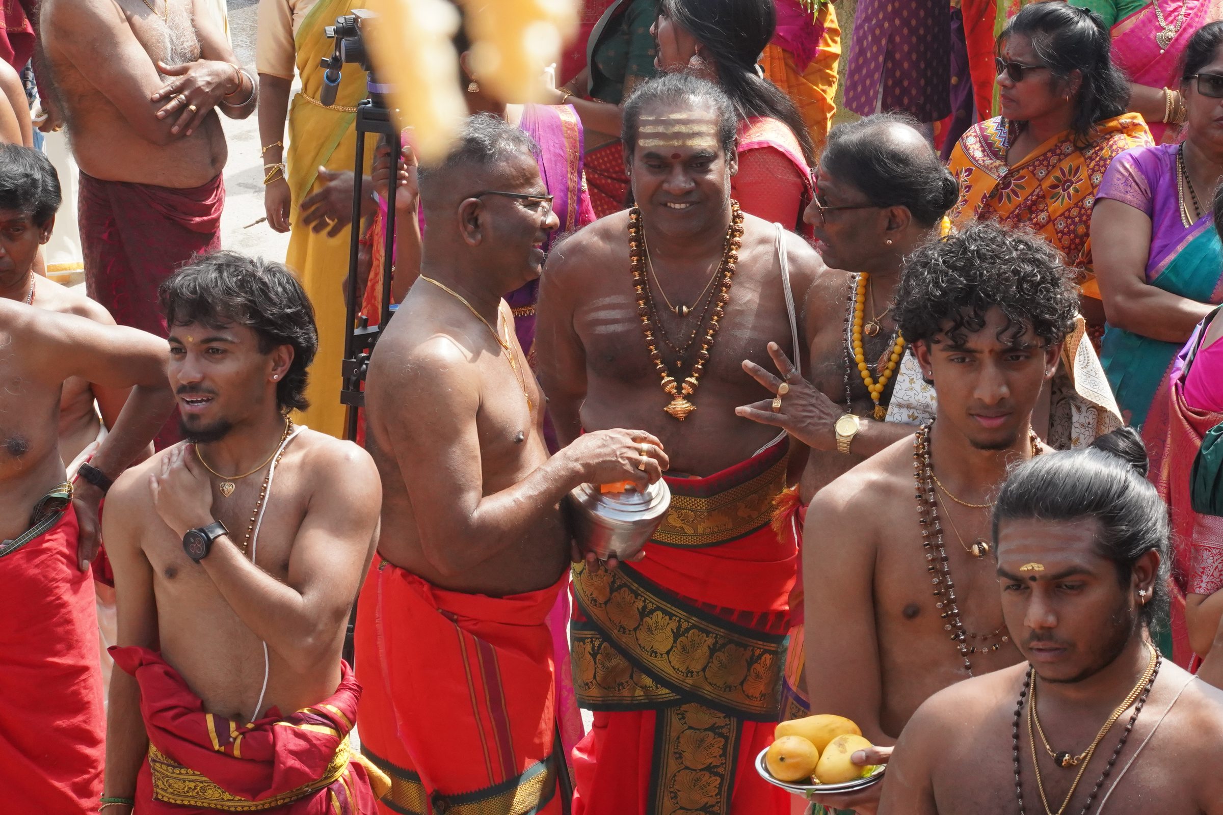 Festival 2026 photo