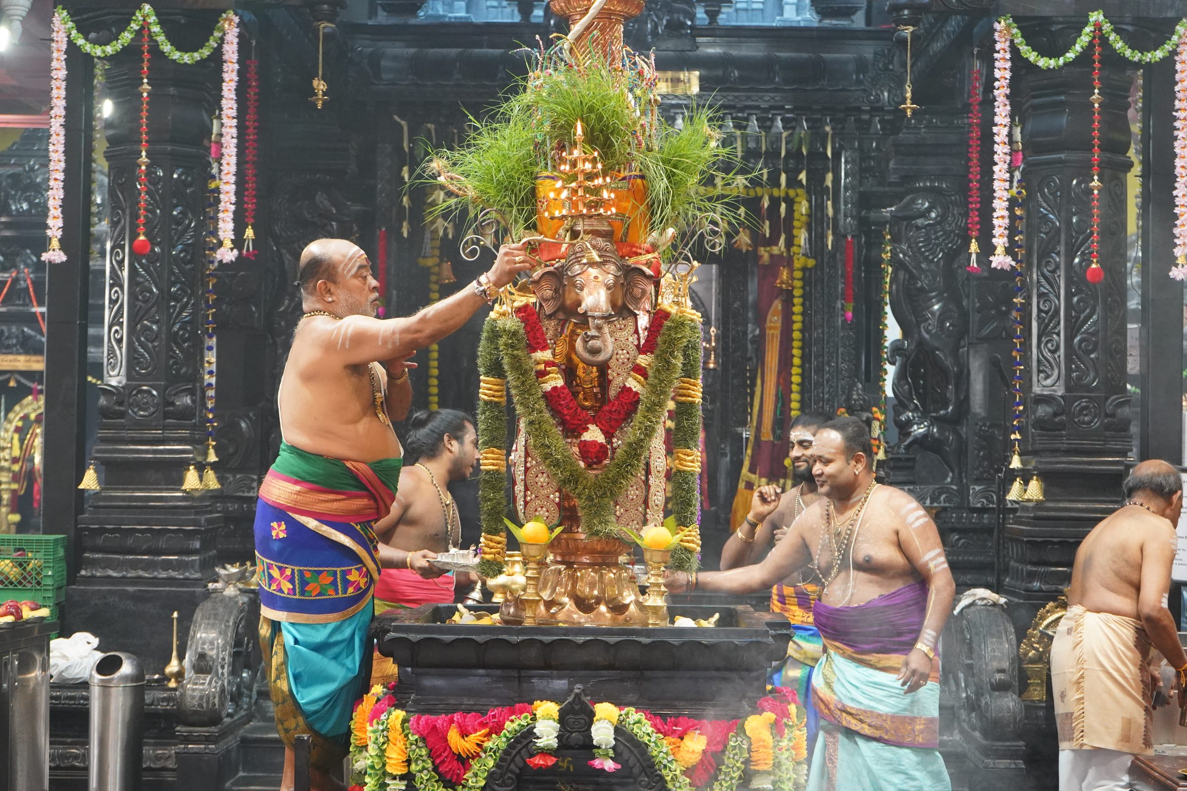 Festival 2026 photo