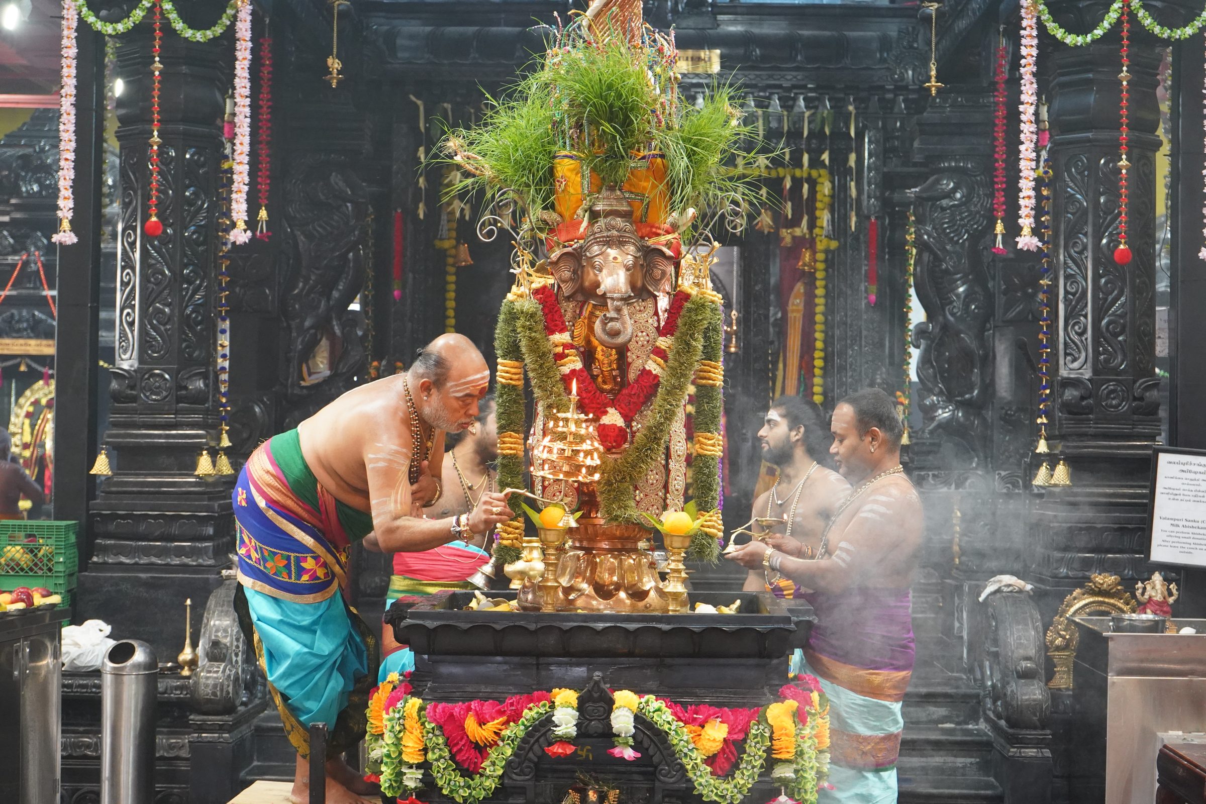 Festival 2026 photo