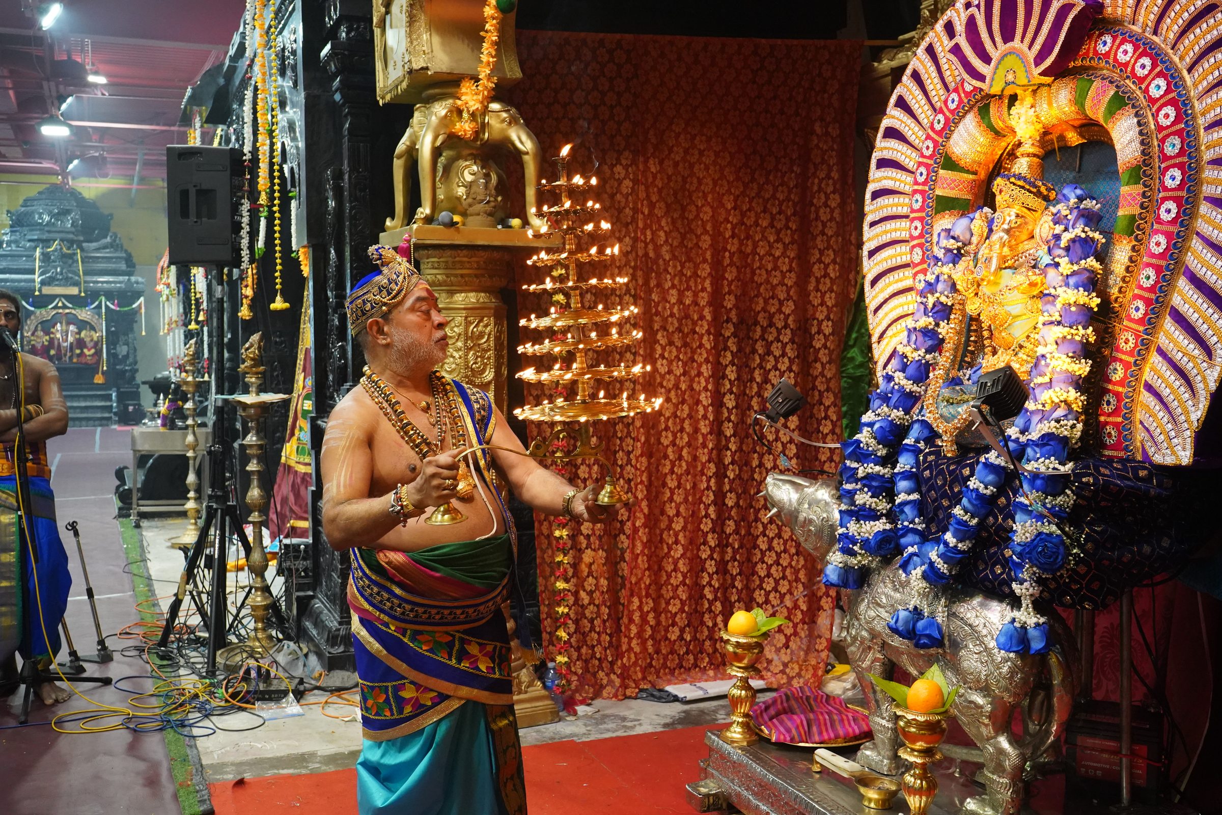 Festival 2026 photo