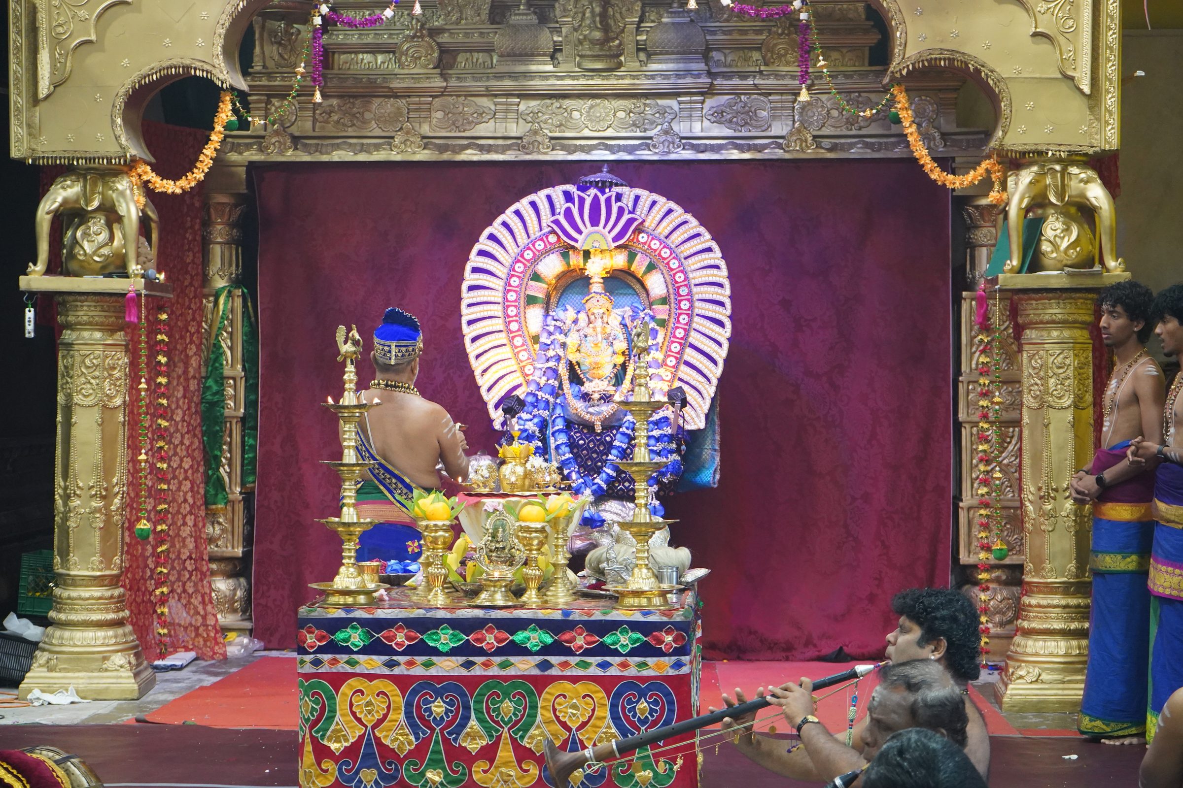 Festival 2026 photo