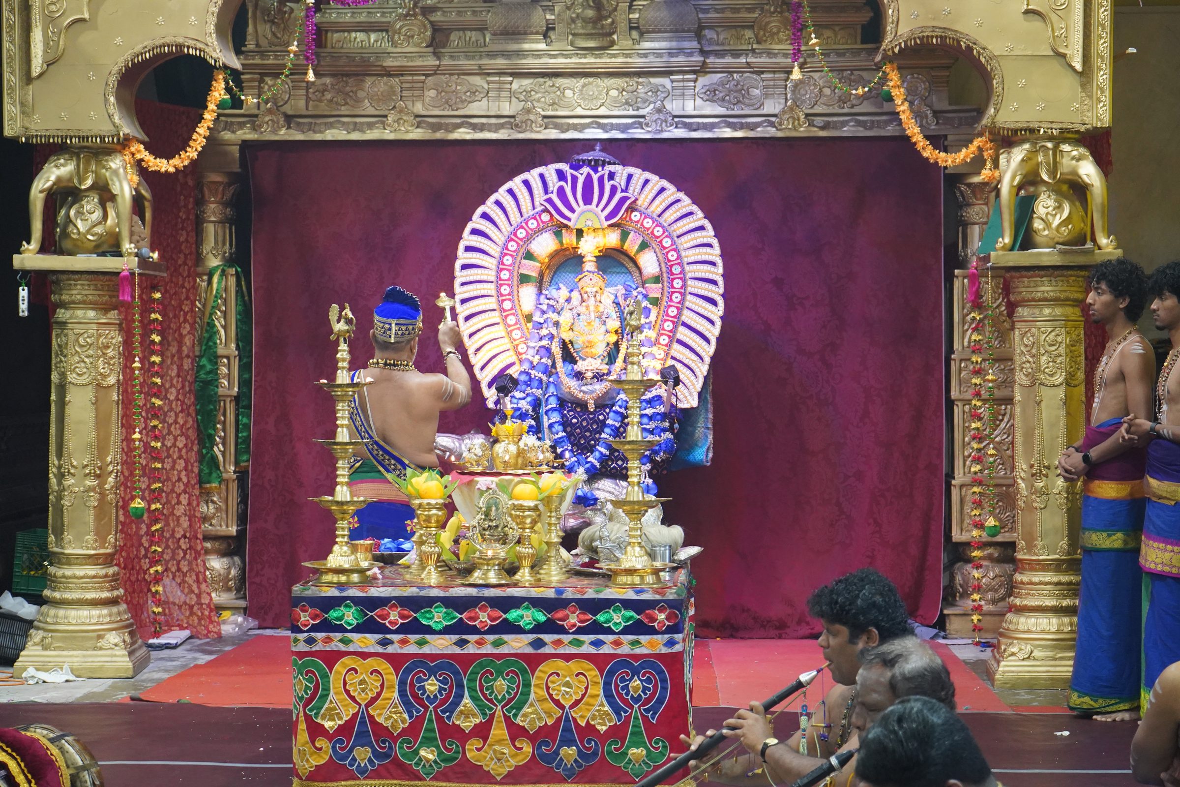 Festival 2026 photo