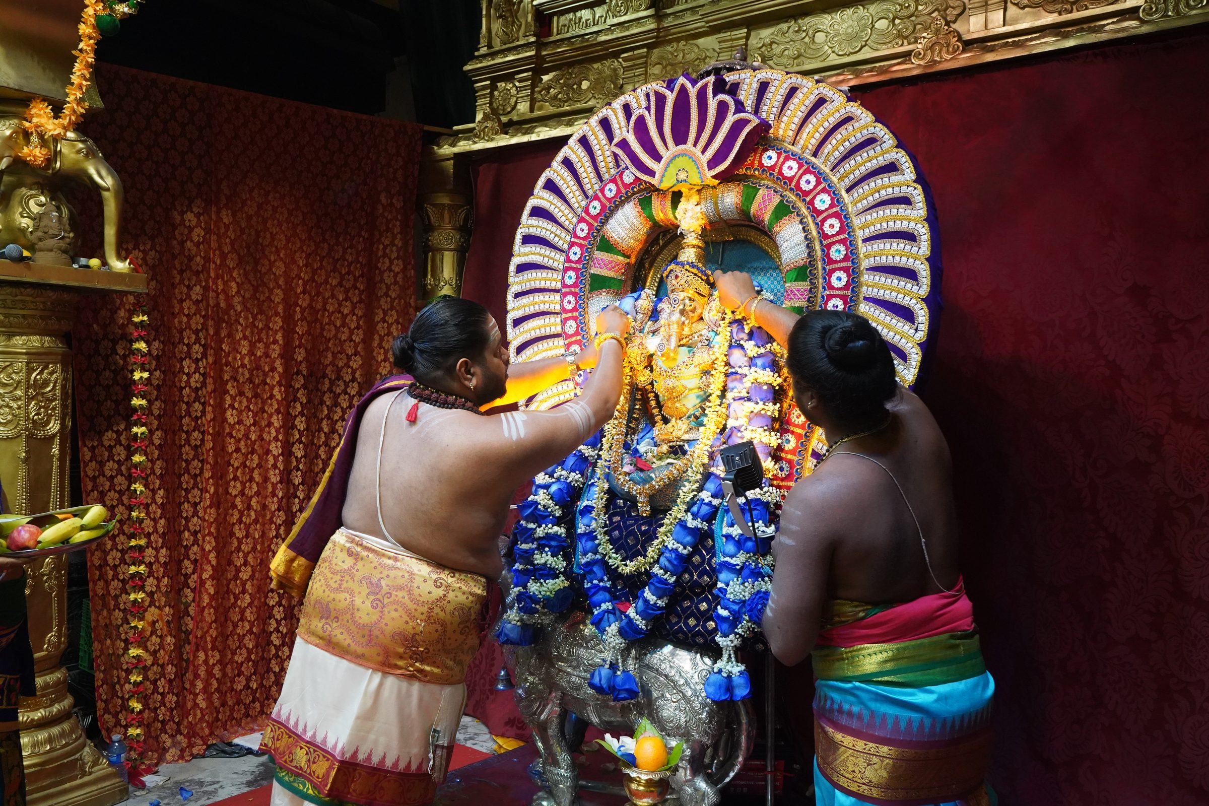 Festival 2026 photo