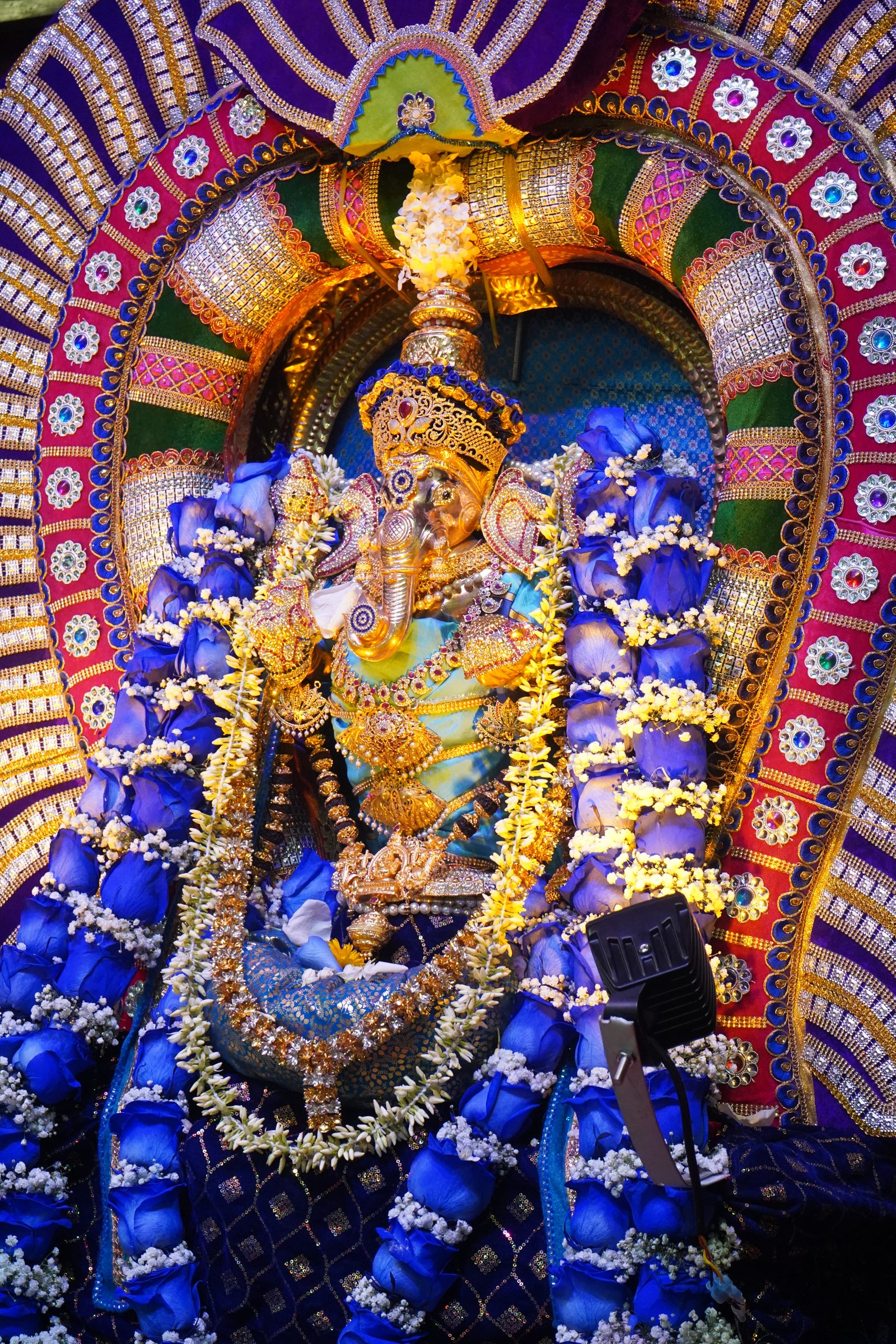 Festival 2026 photo