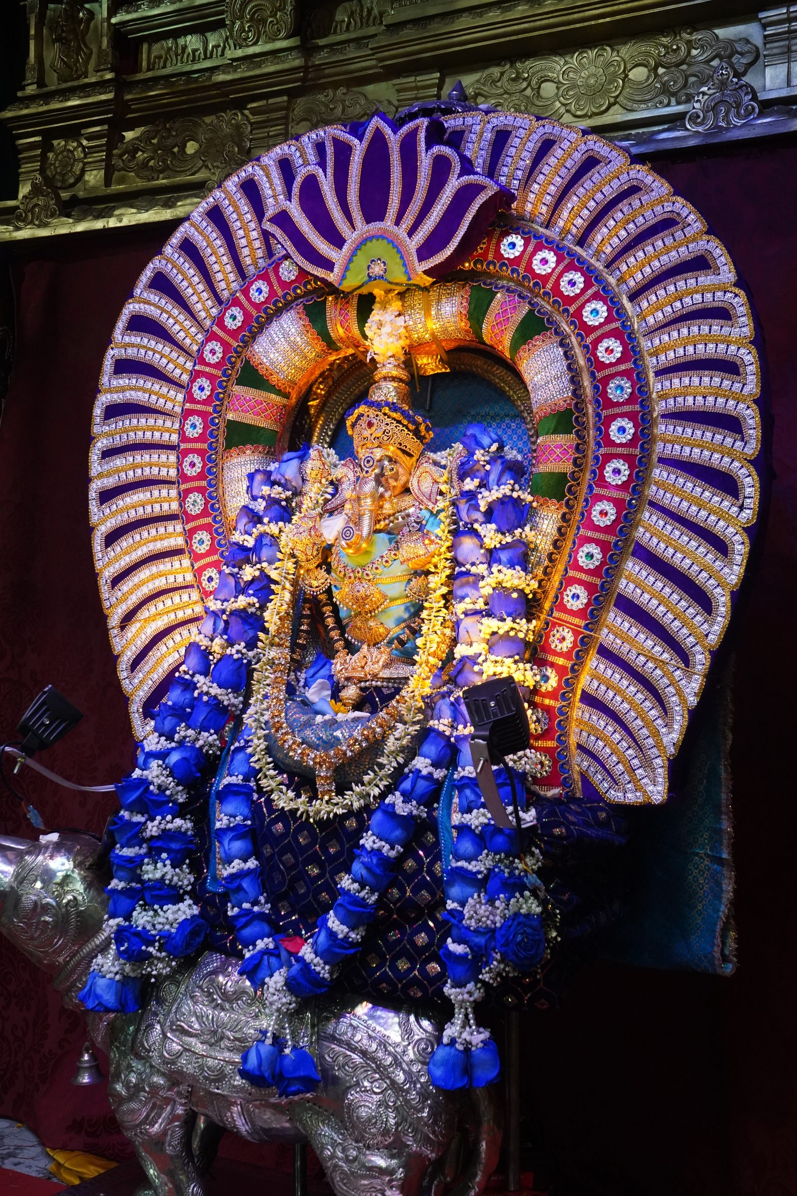 Festival 2026 photo