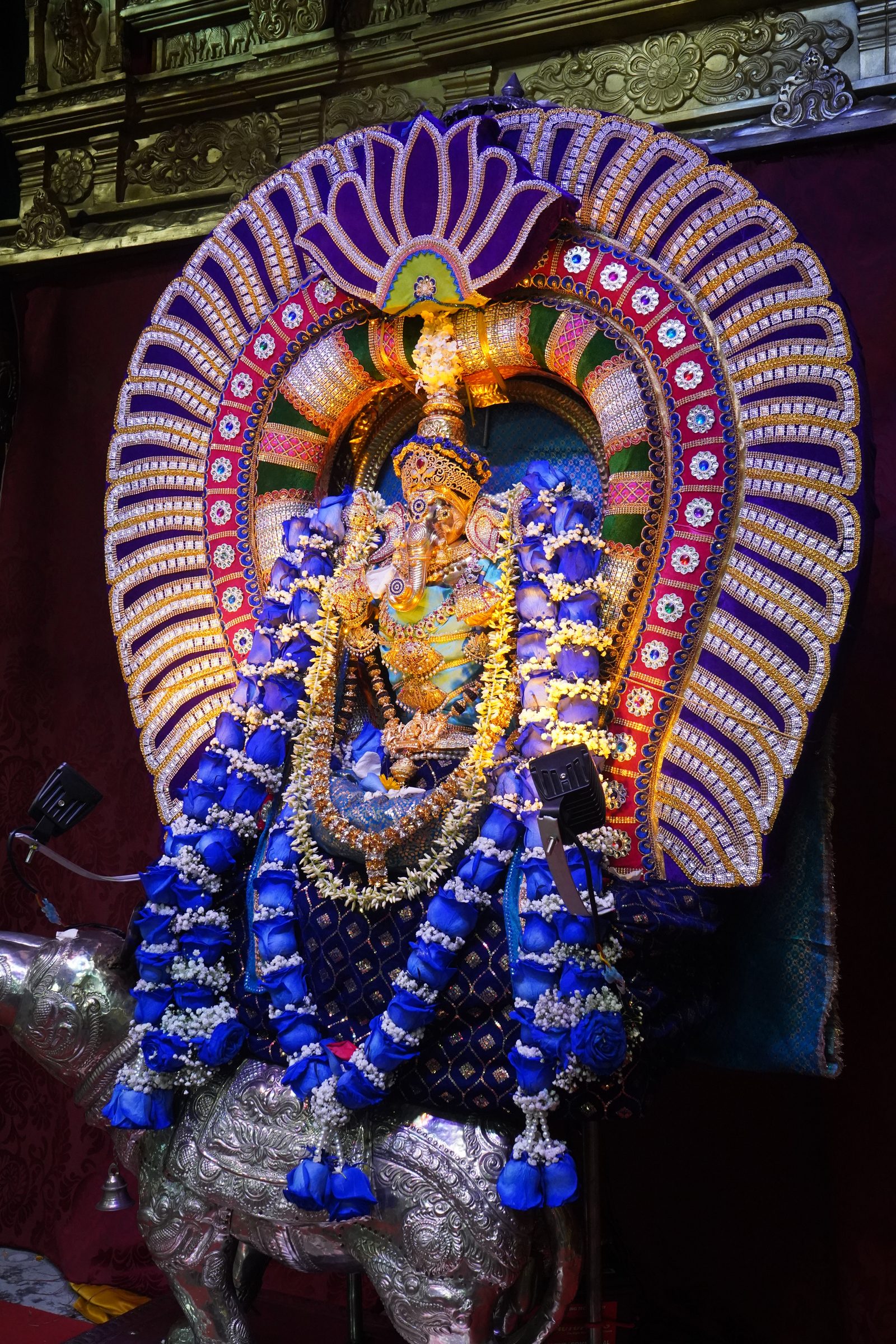 Festival 2026 photo