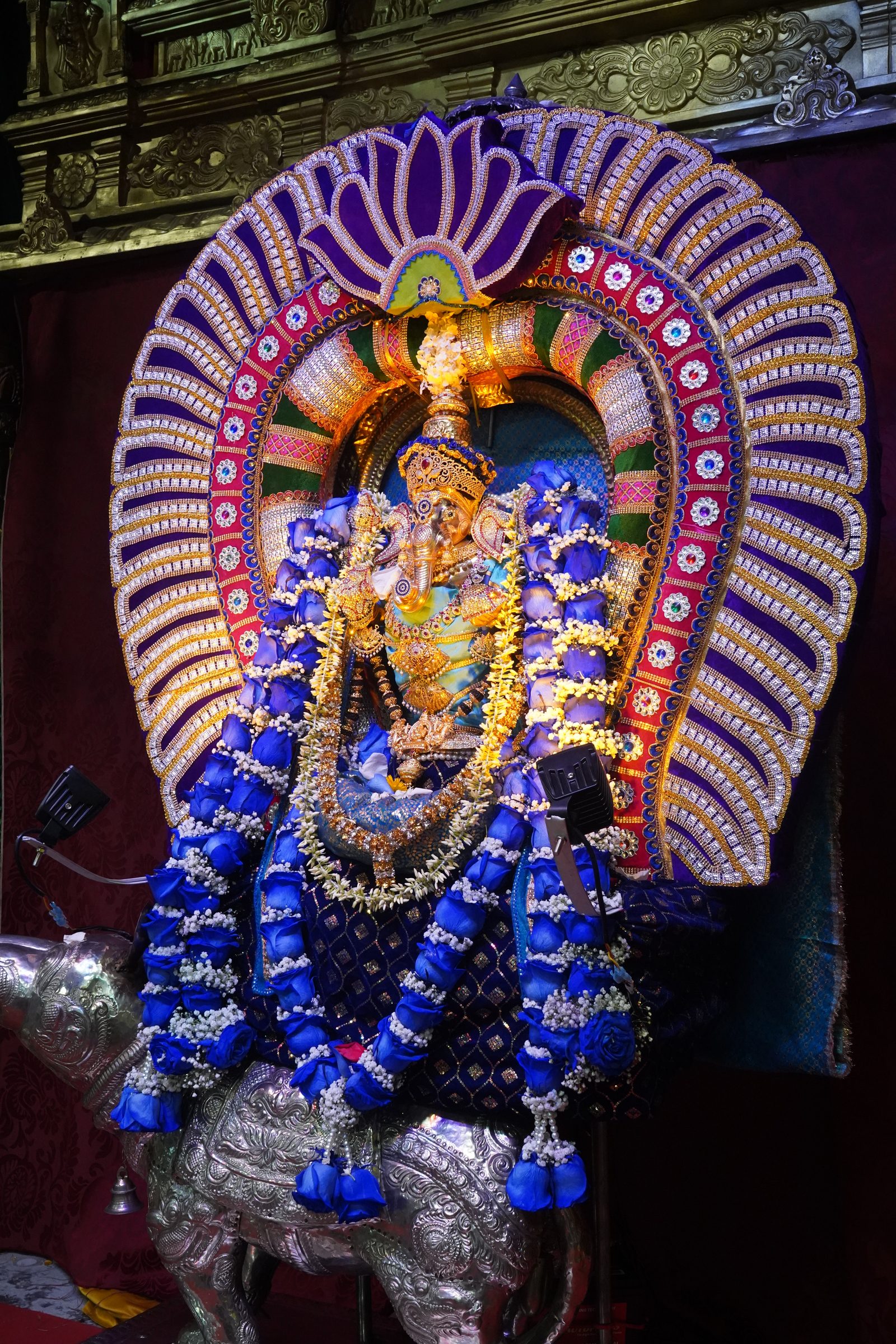 Festival 2026 photo