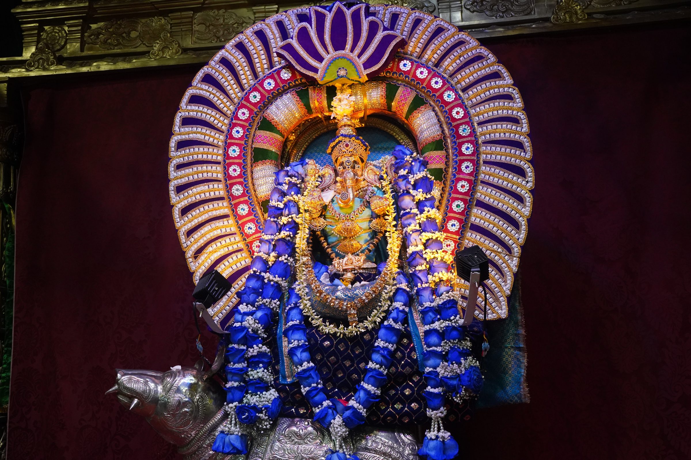 Festival 2026 photo