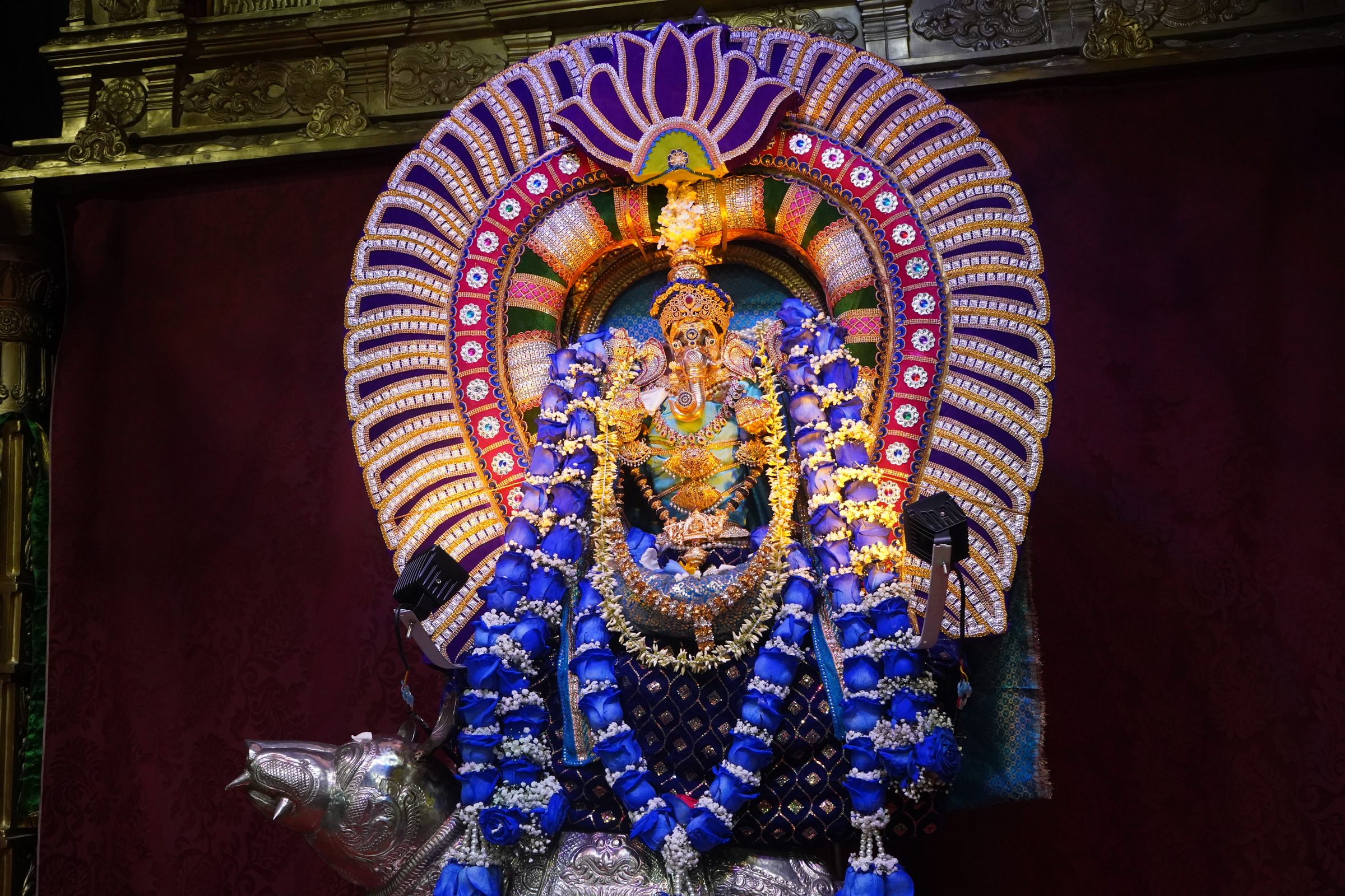 Festival 2026 photo