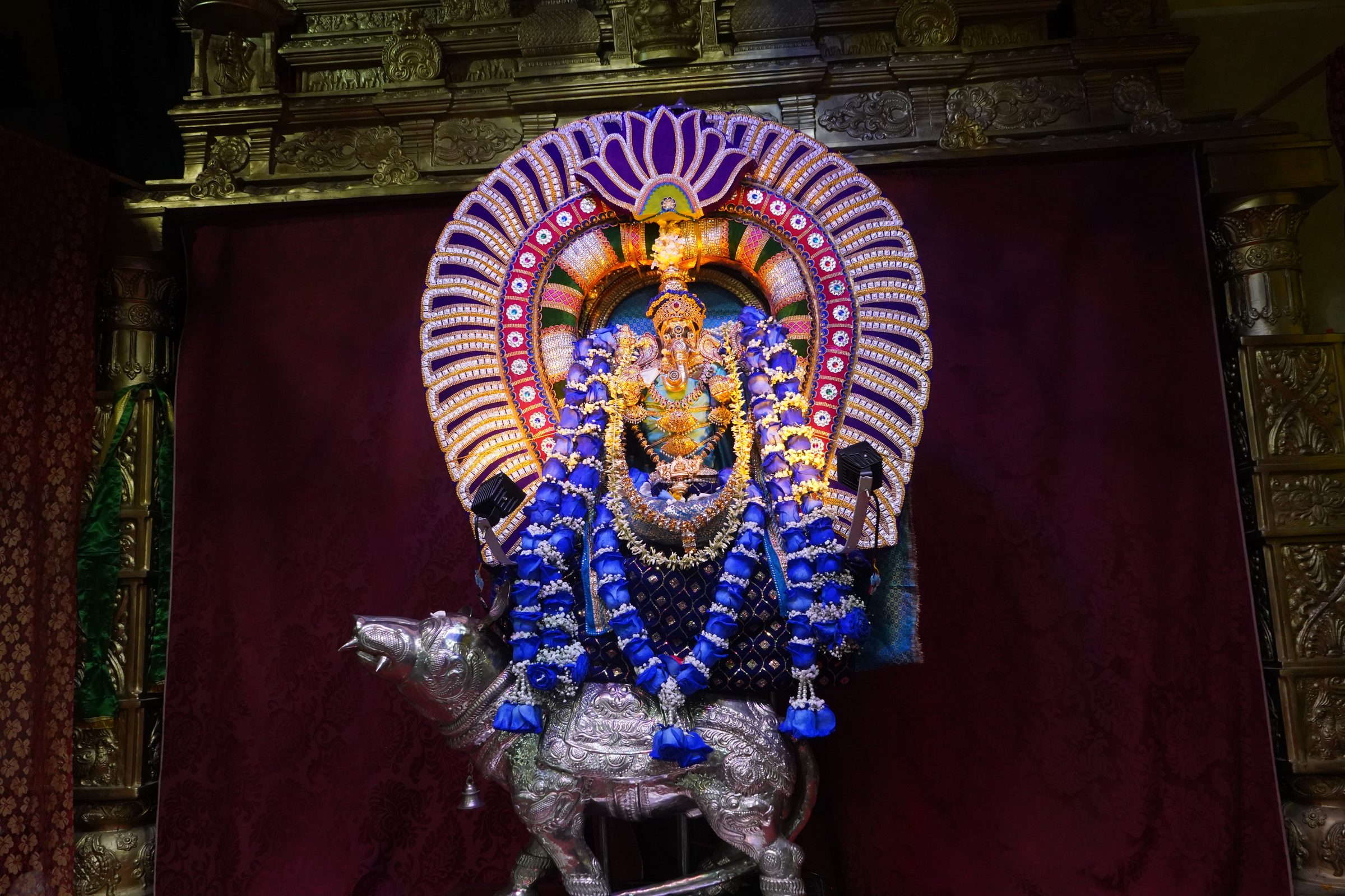 Festival 2026 photo