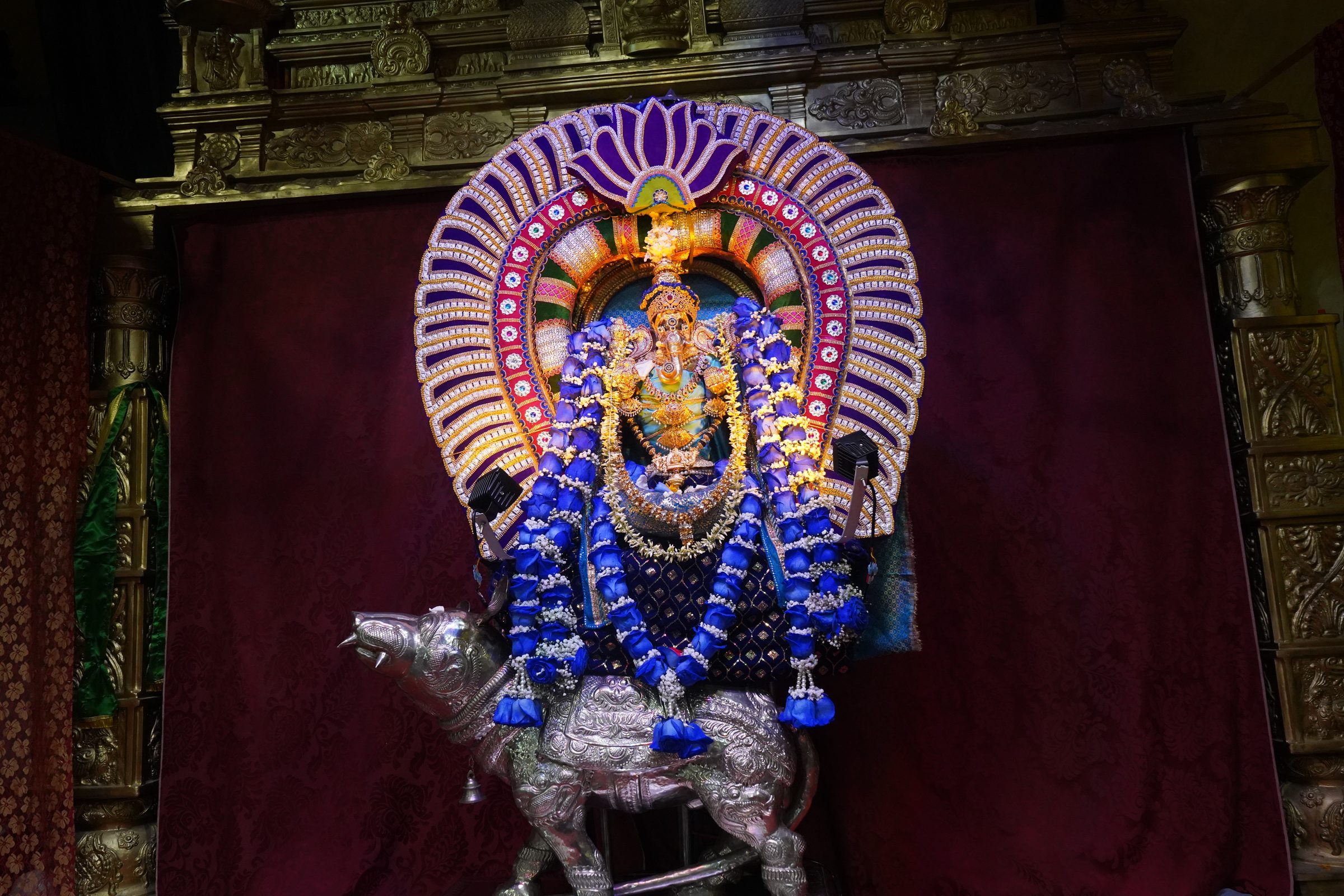 Festival 2026 photo