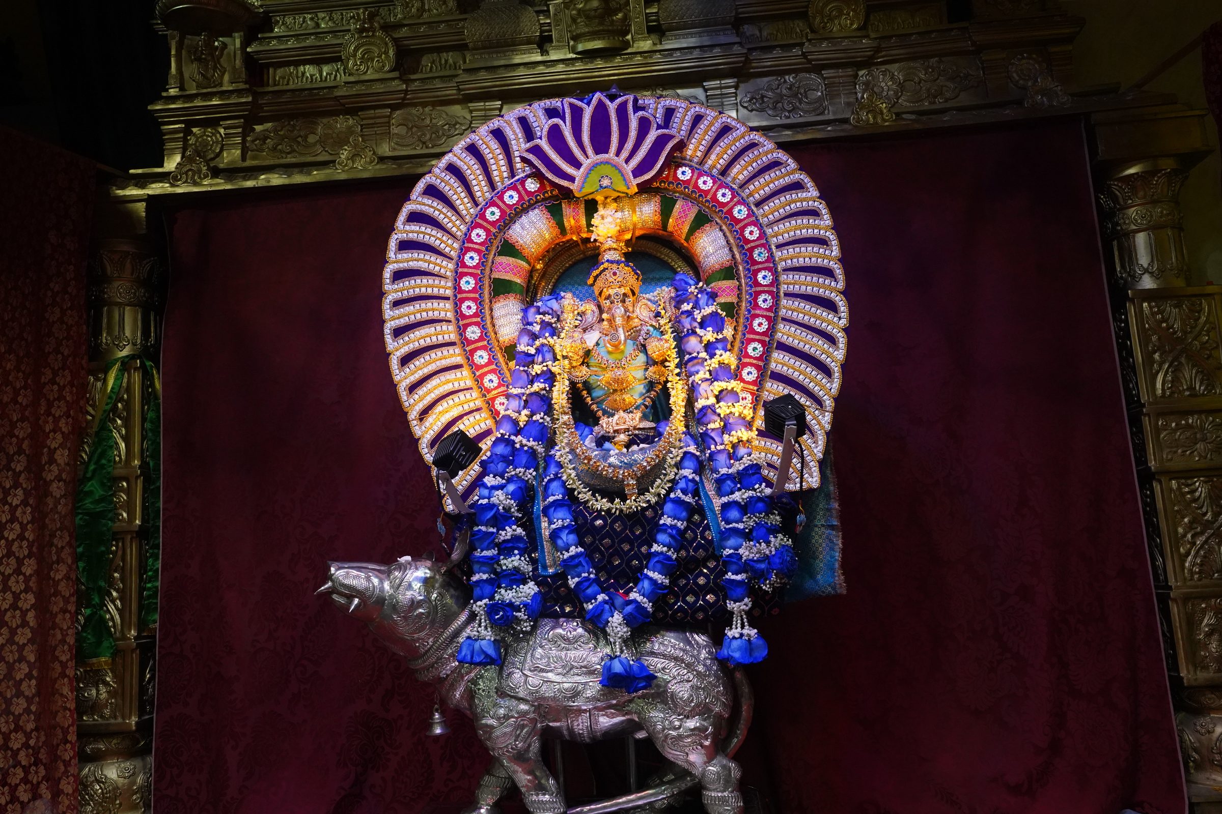 Festival 2026 photo