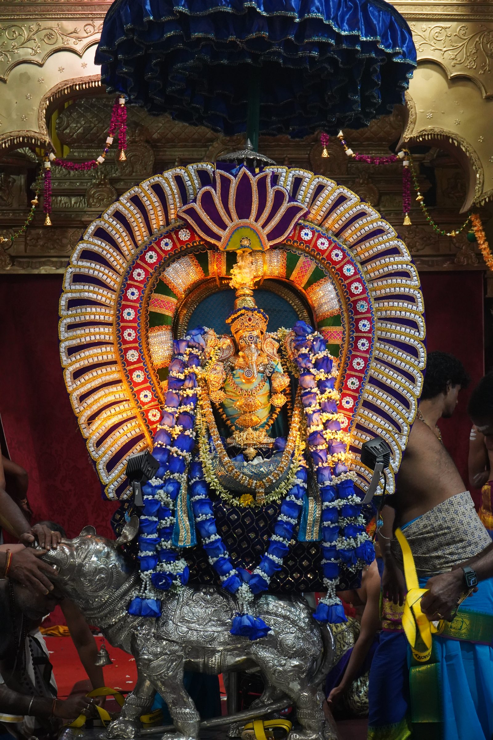 Festival 2026 photo