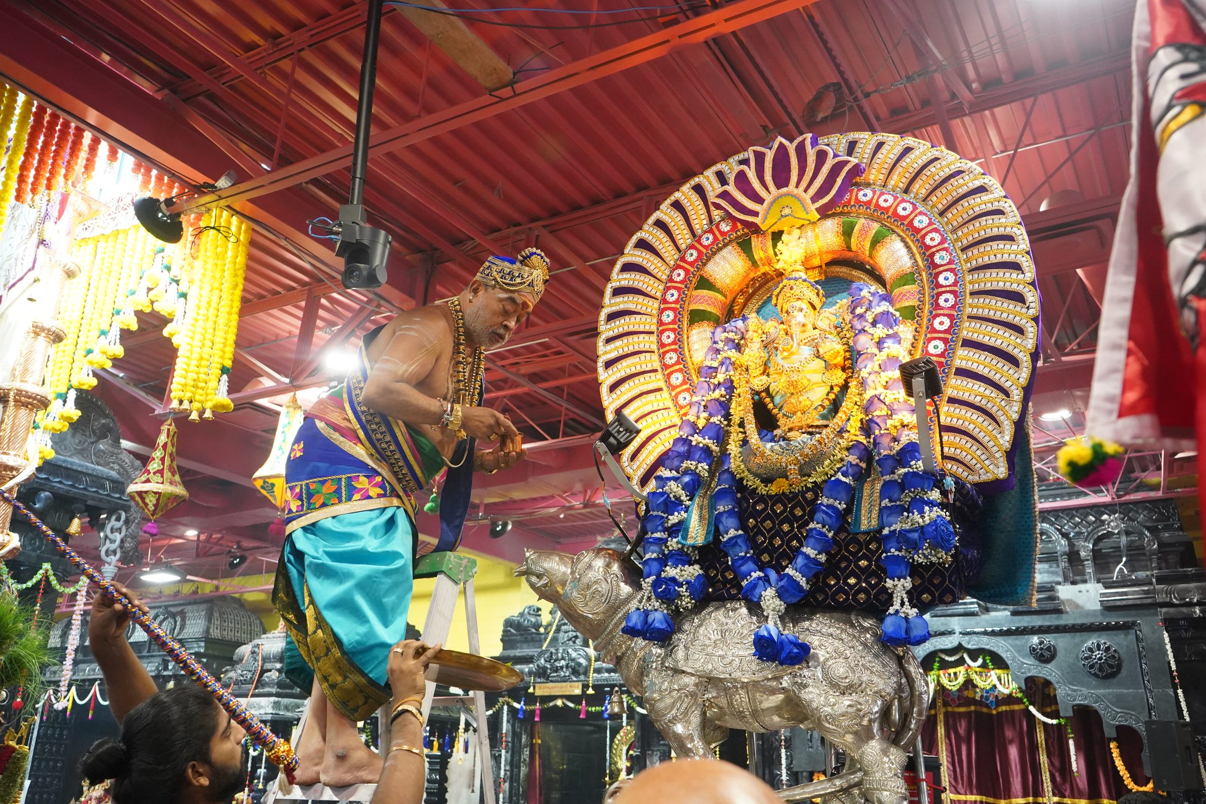 Festival 2026 photo