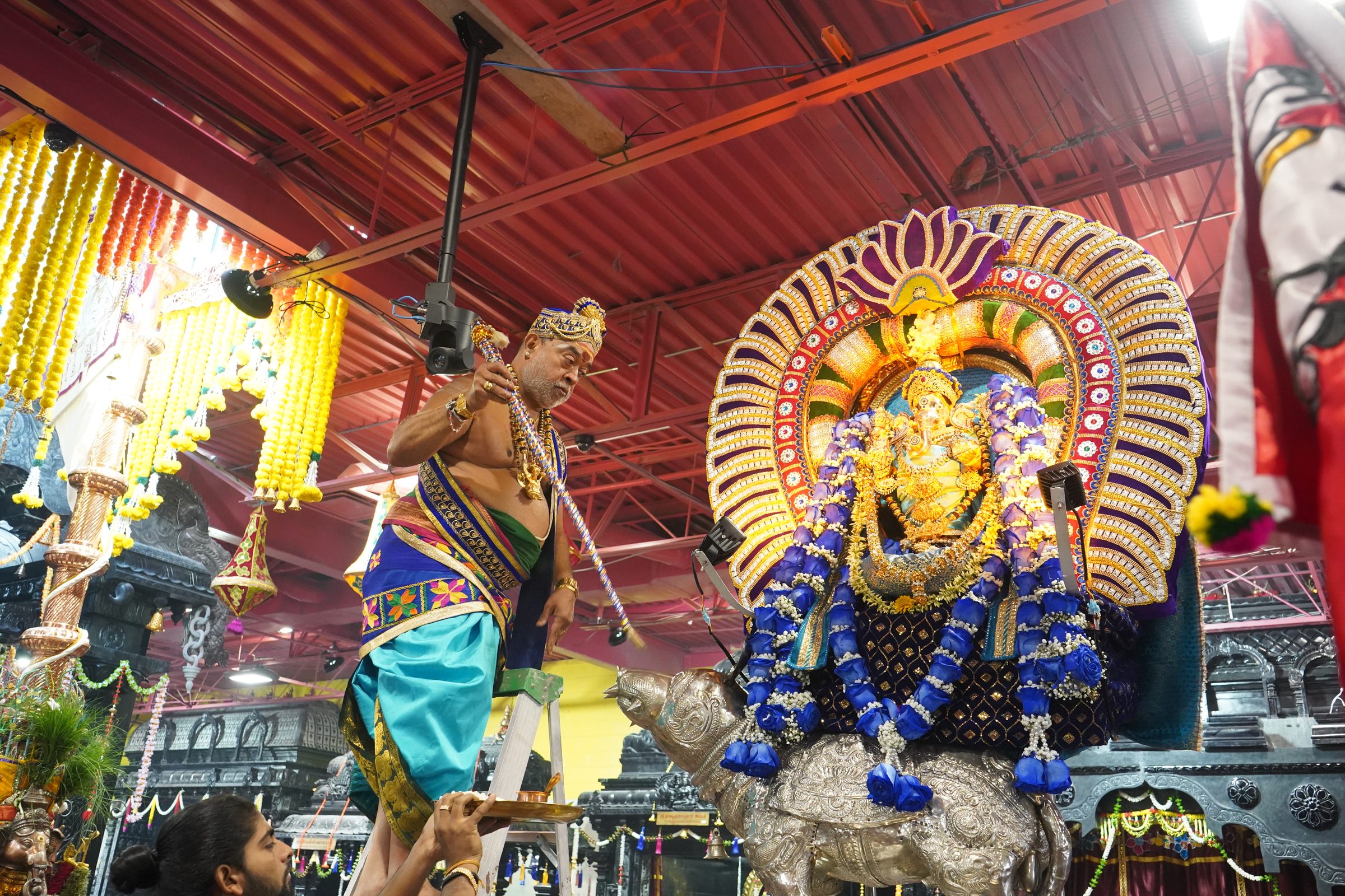 Festival 2026 photo