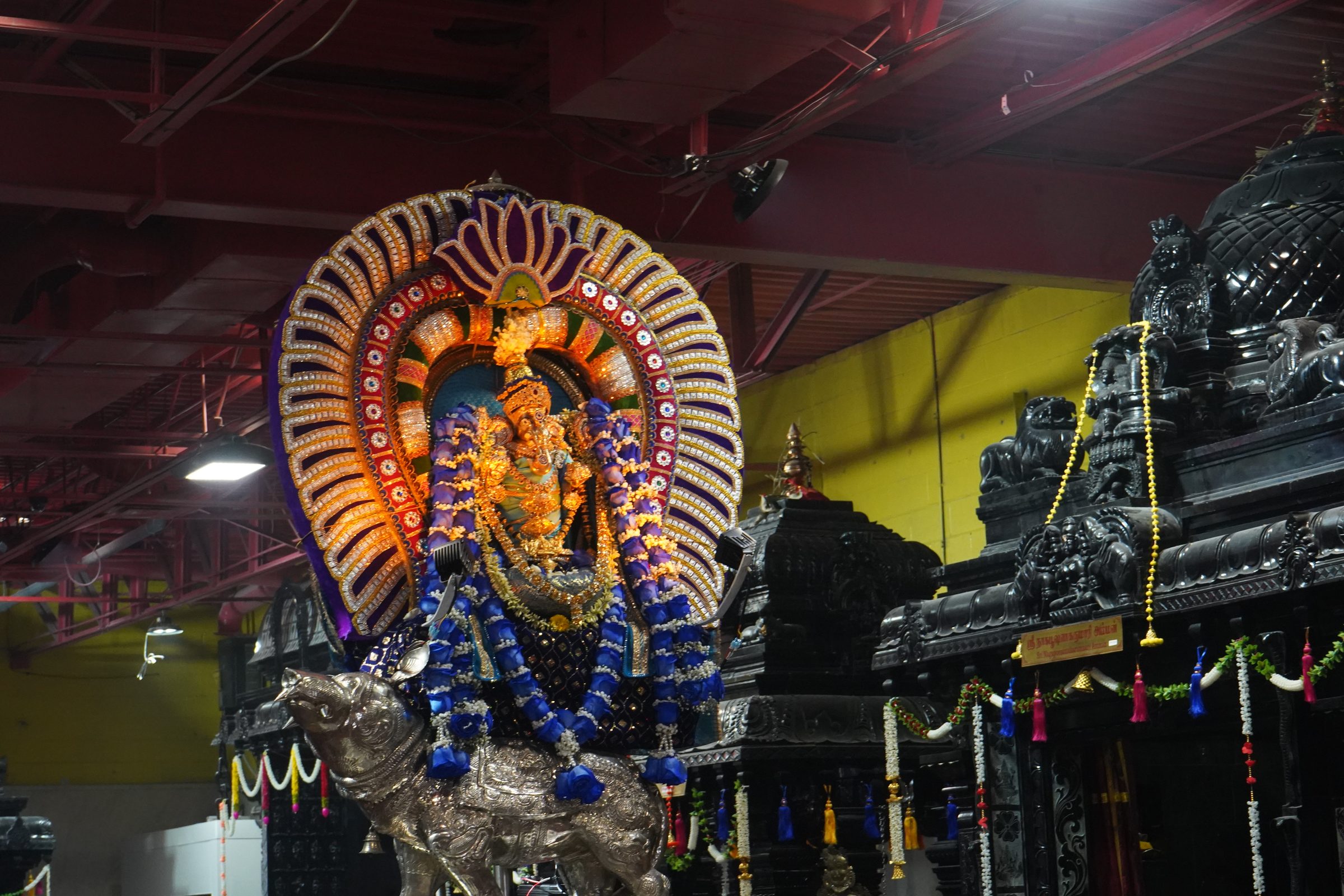 Festival 2026 photo