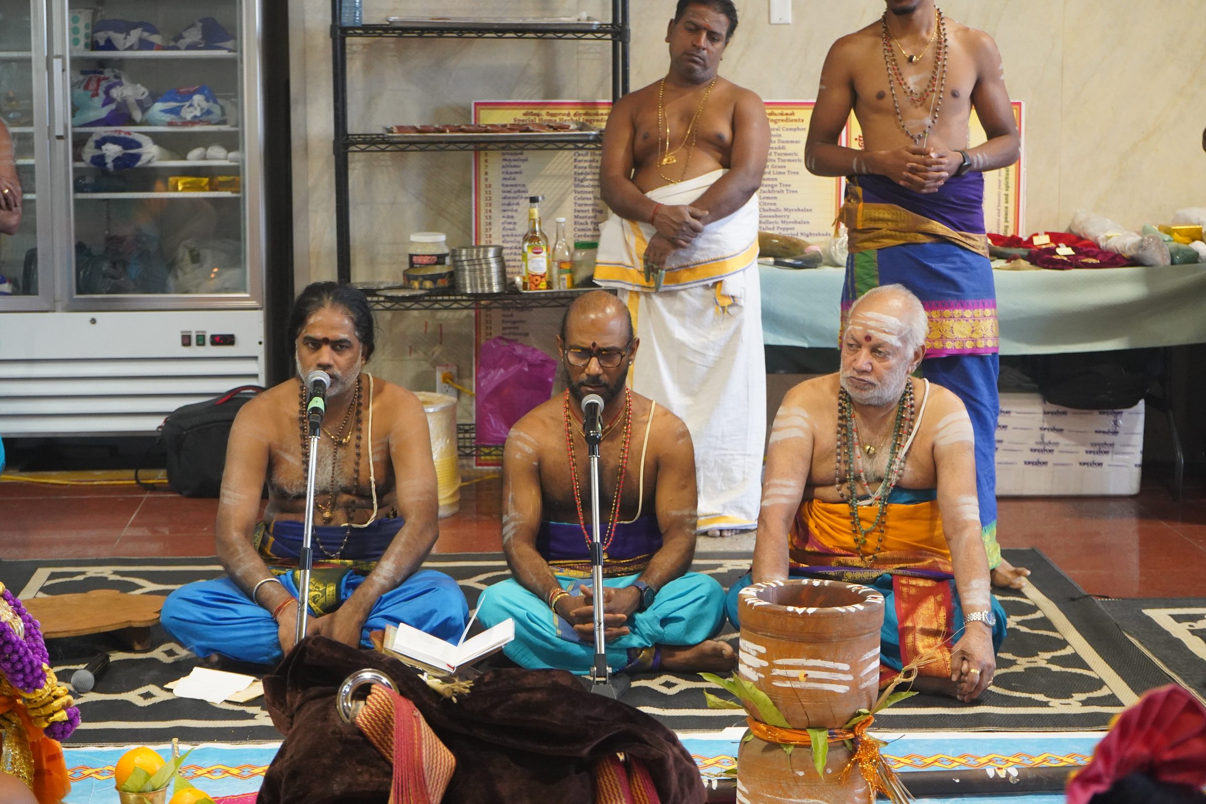 Festival 2026 photo