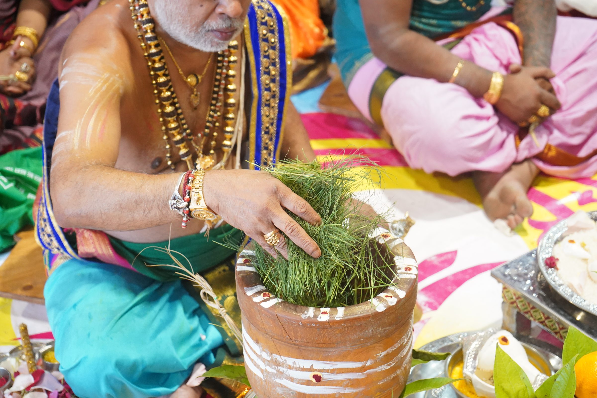Festival 2026 photo