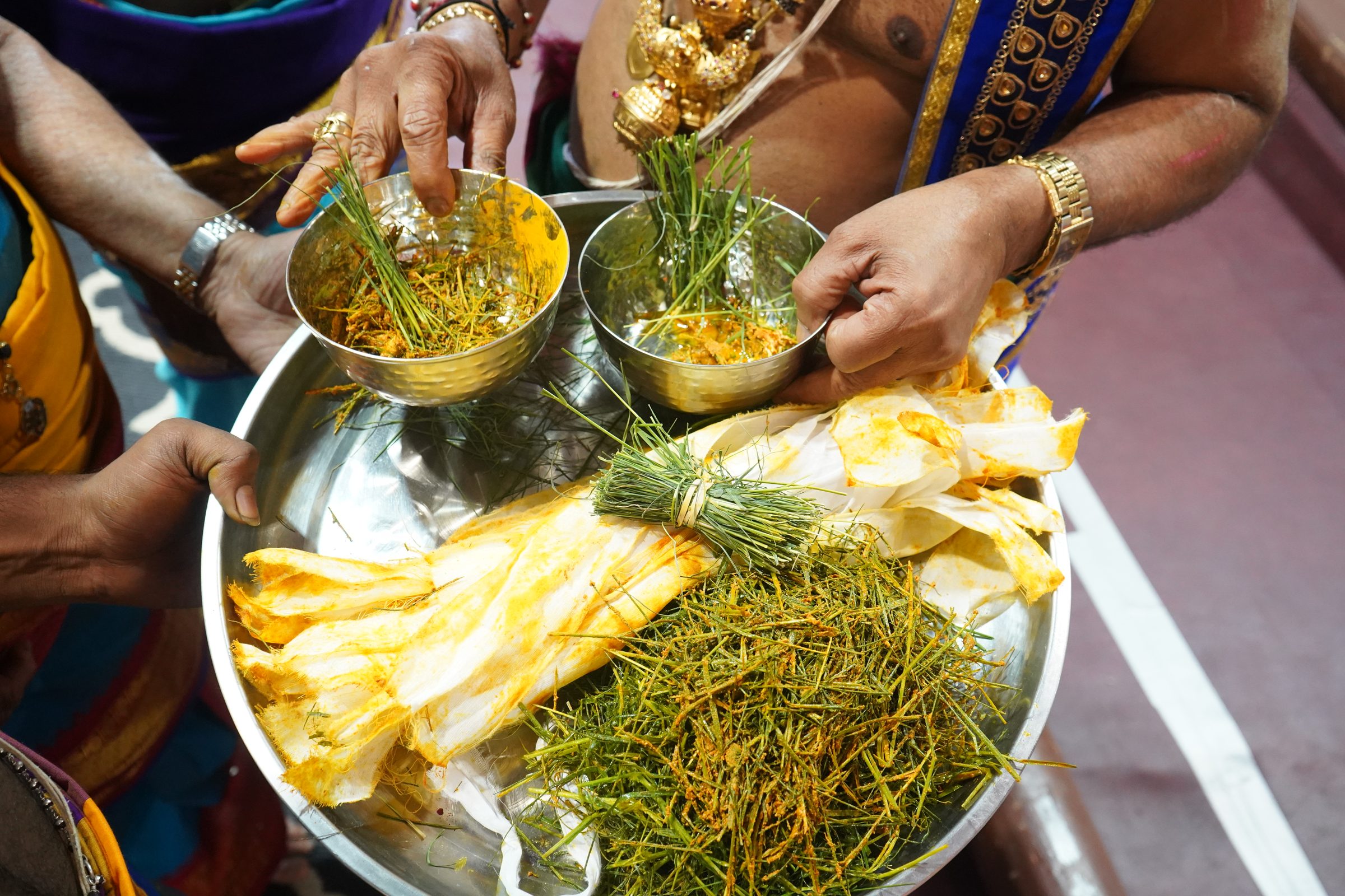 Festival 2026 photo