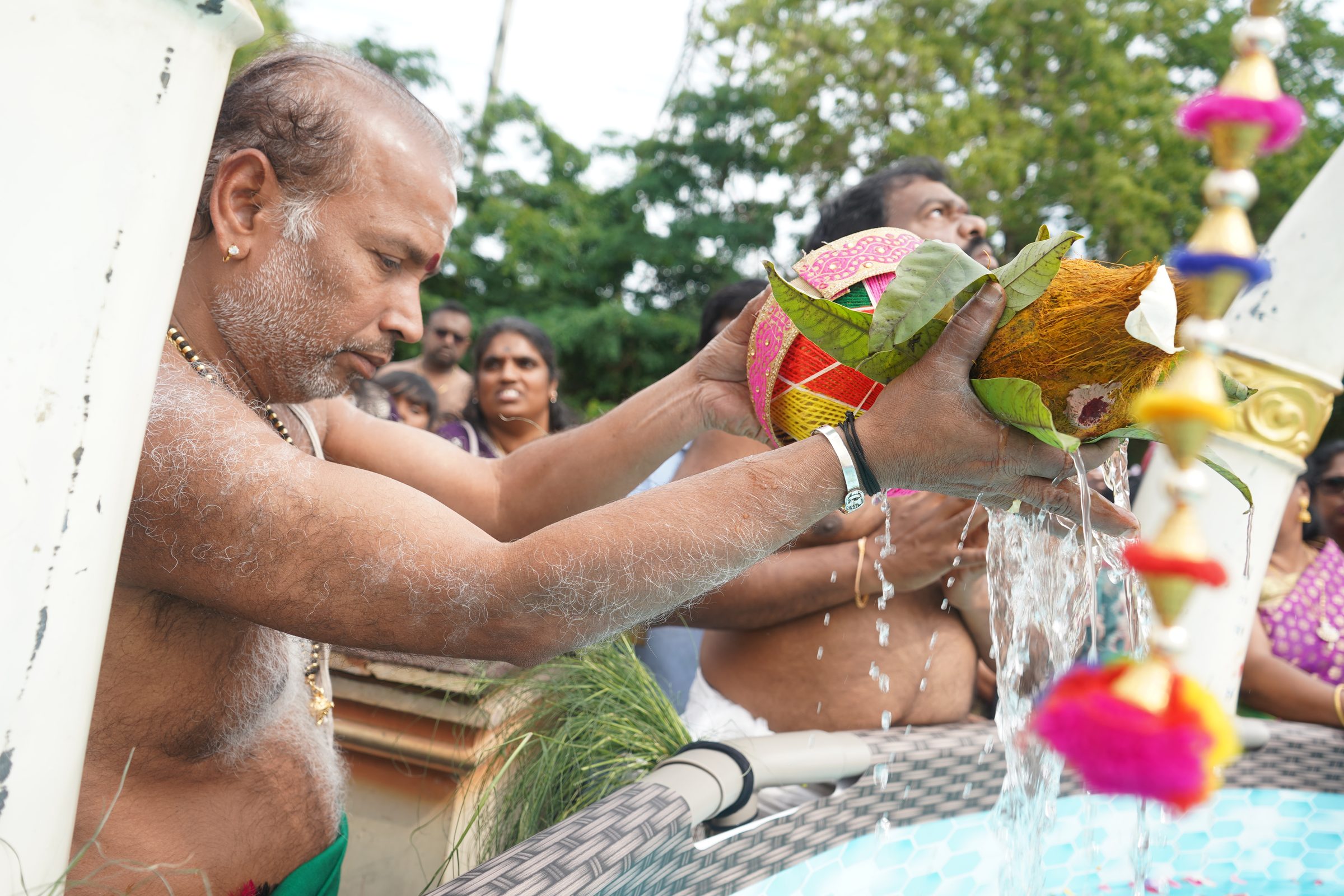 Festival 2026 photo