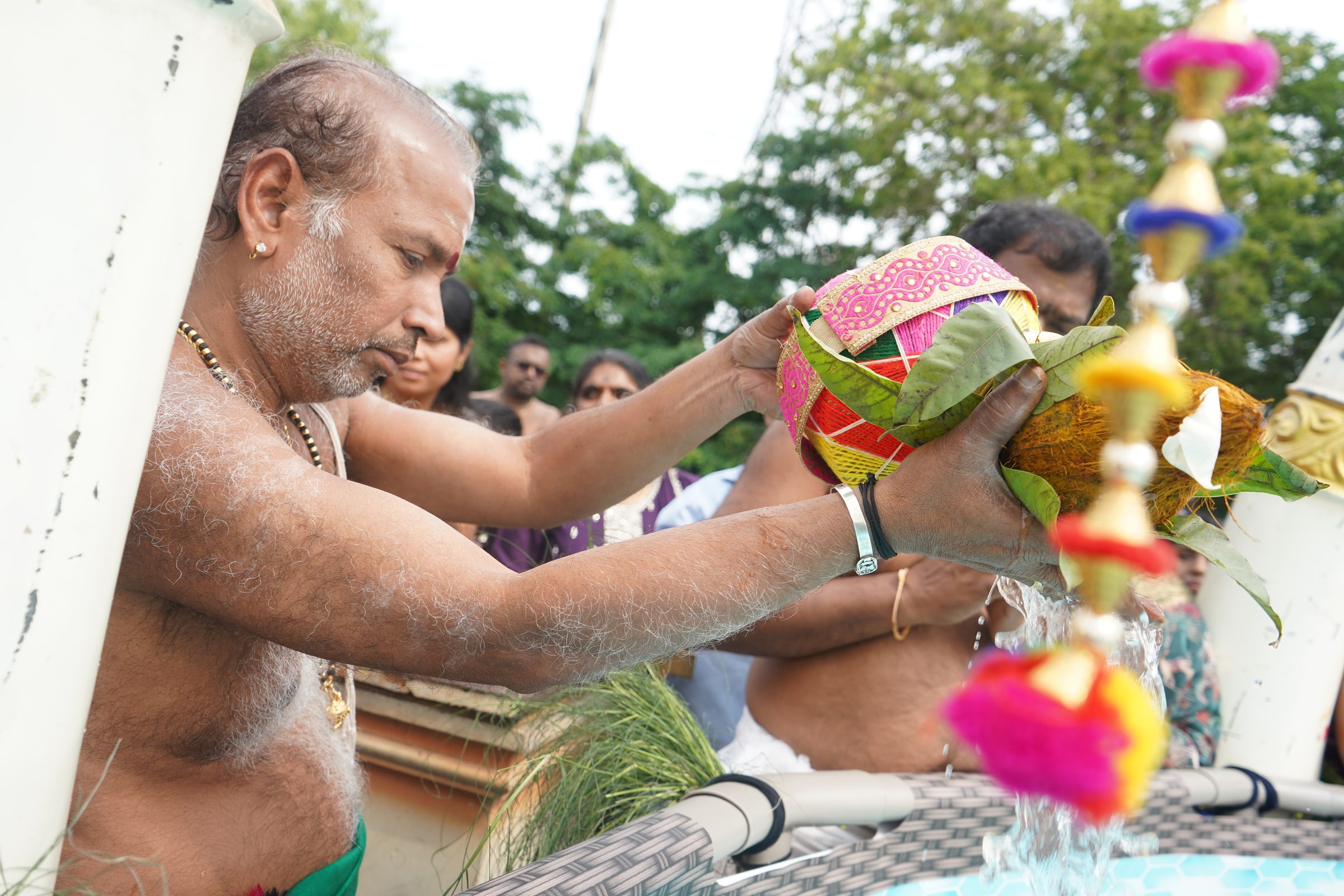 Festival 2026 photo